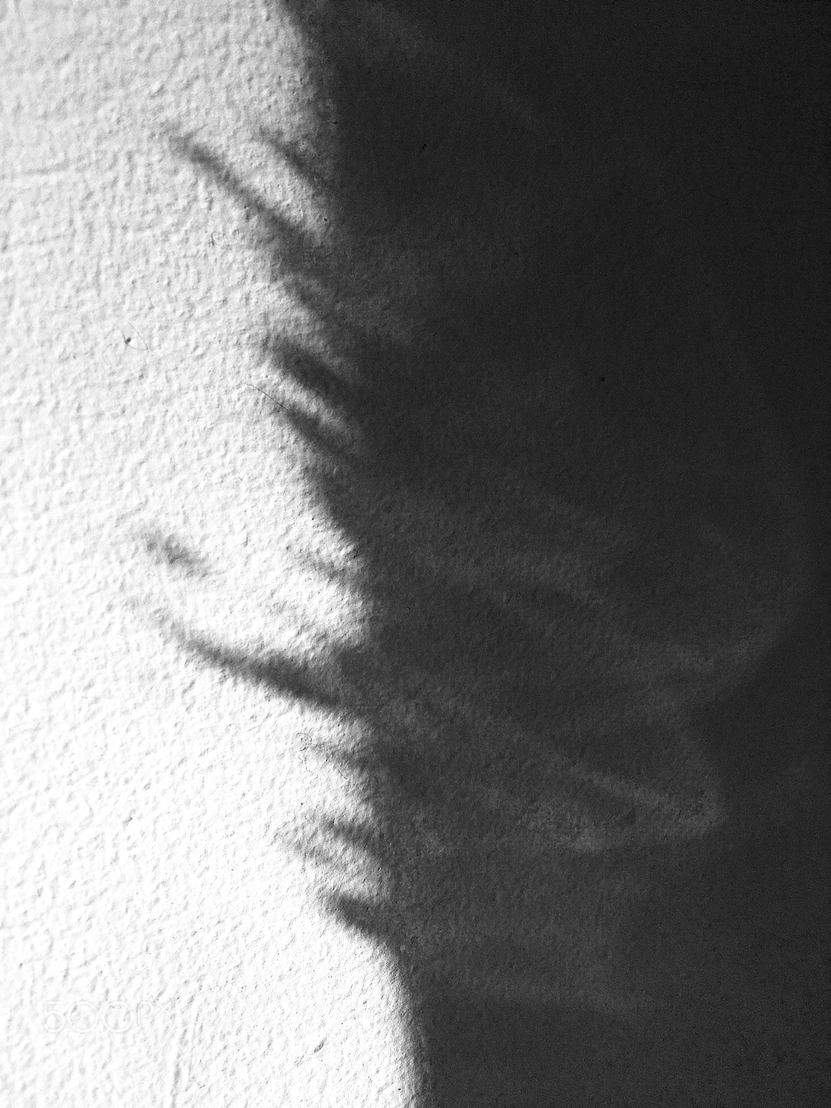 Apple iPhone 6s Plus sample photo. The edge of thought... photography