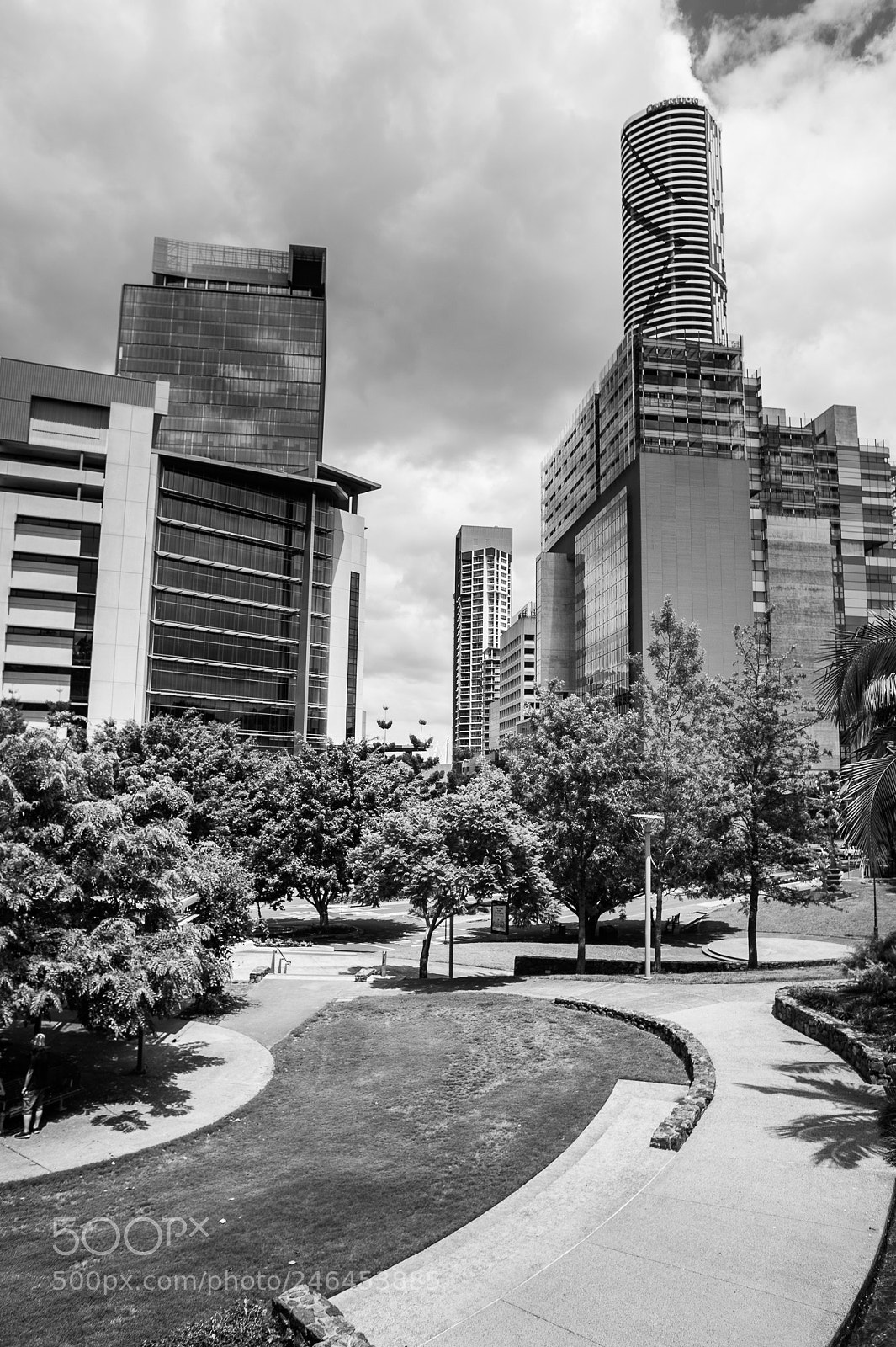 Nikon D700 sample photo. Romastr_parklands photography