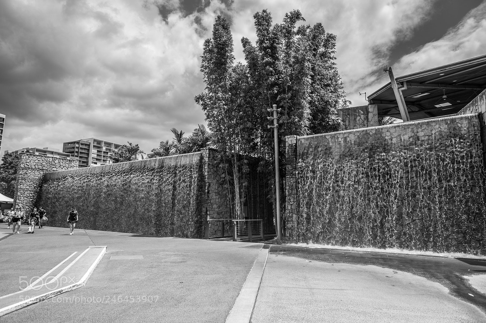 Nikon D700 sample photo. Romastr_parklands photography