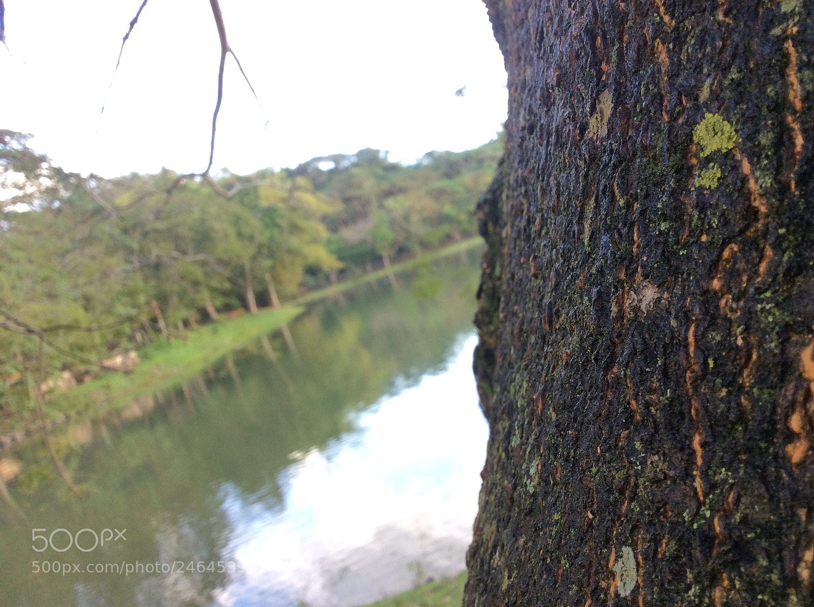 Apple iPad Air sample photo. Untitled photography