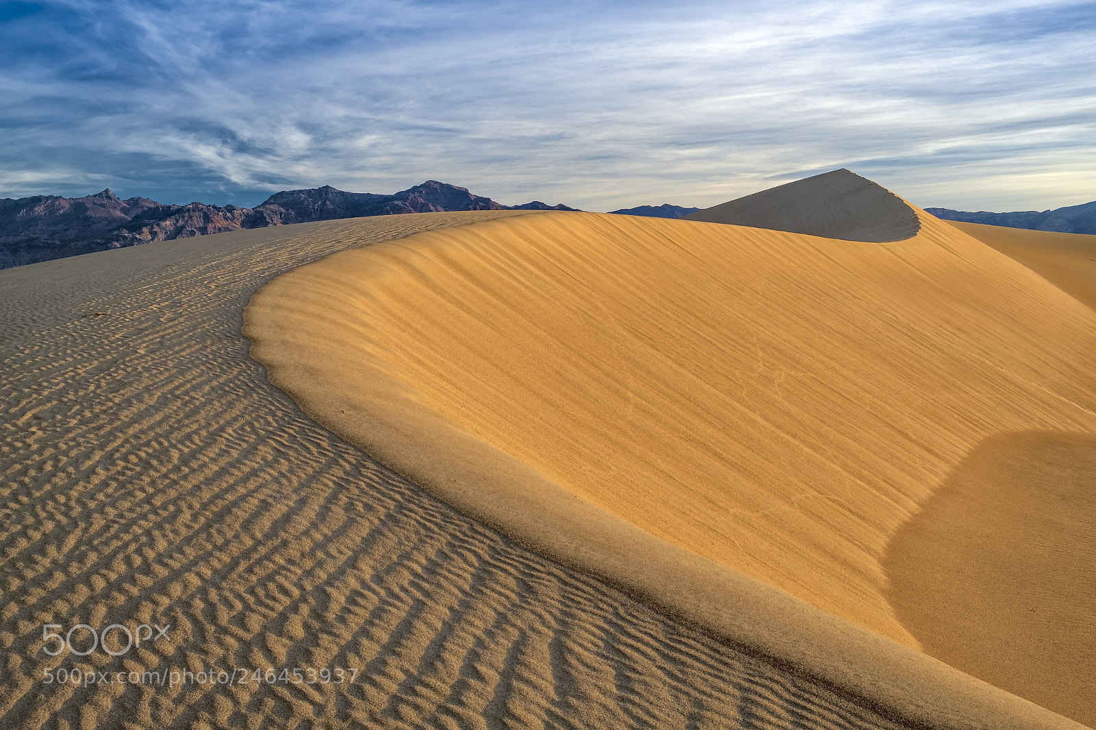 Fujifilm X-T2 sample photo. Dune curve photography