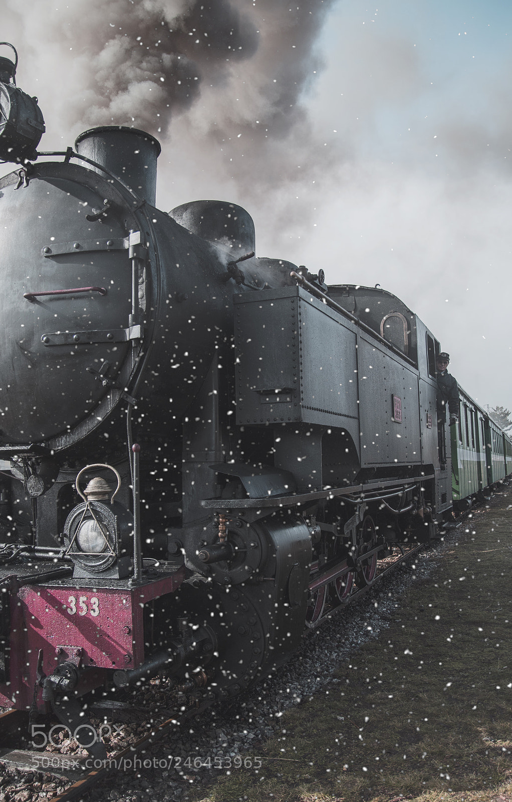 Nikon D500 sample photo. Polar express photography