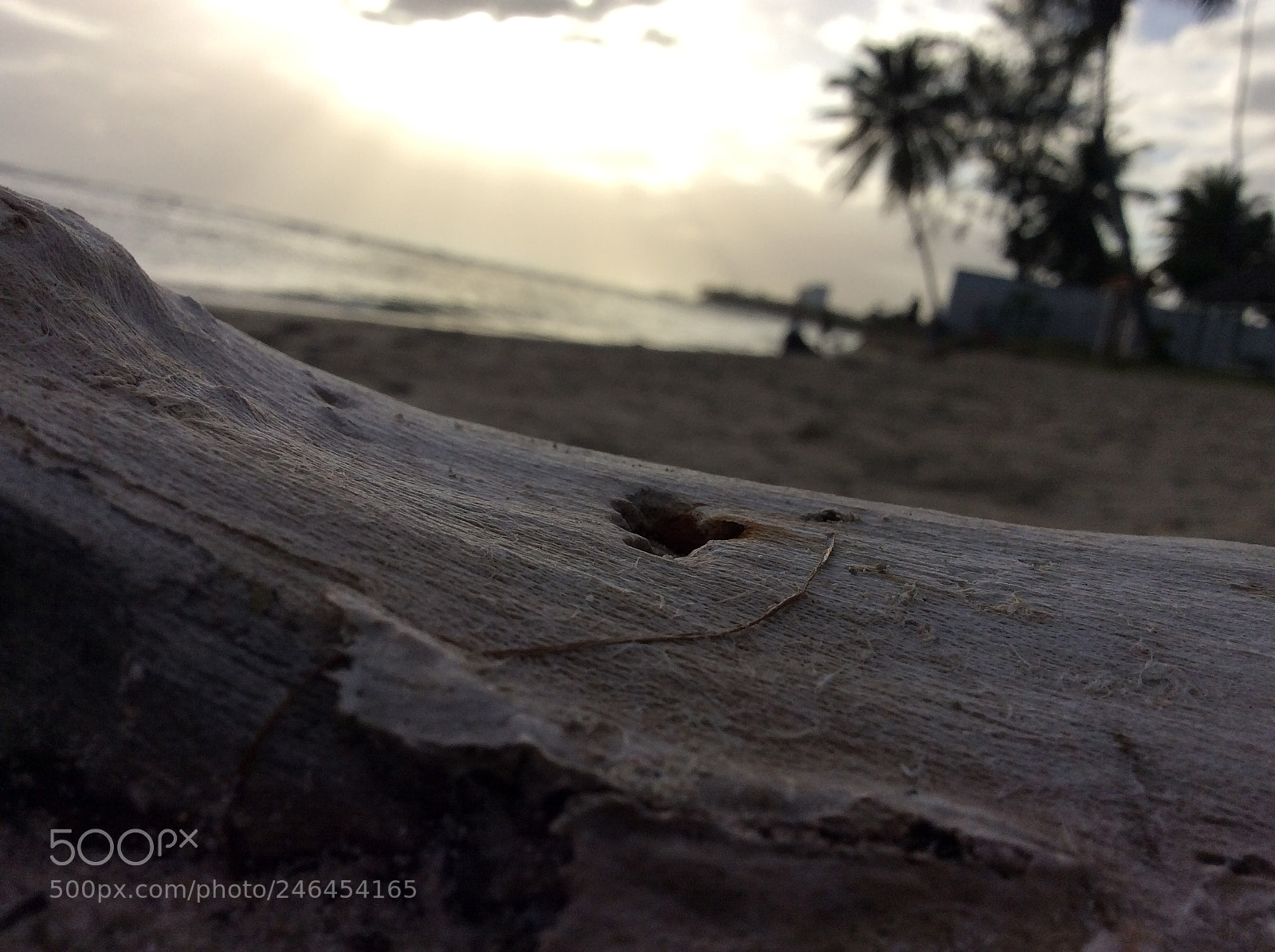 Apple iPad Air sample photo. Untitled photography