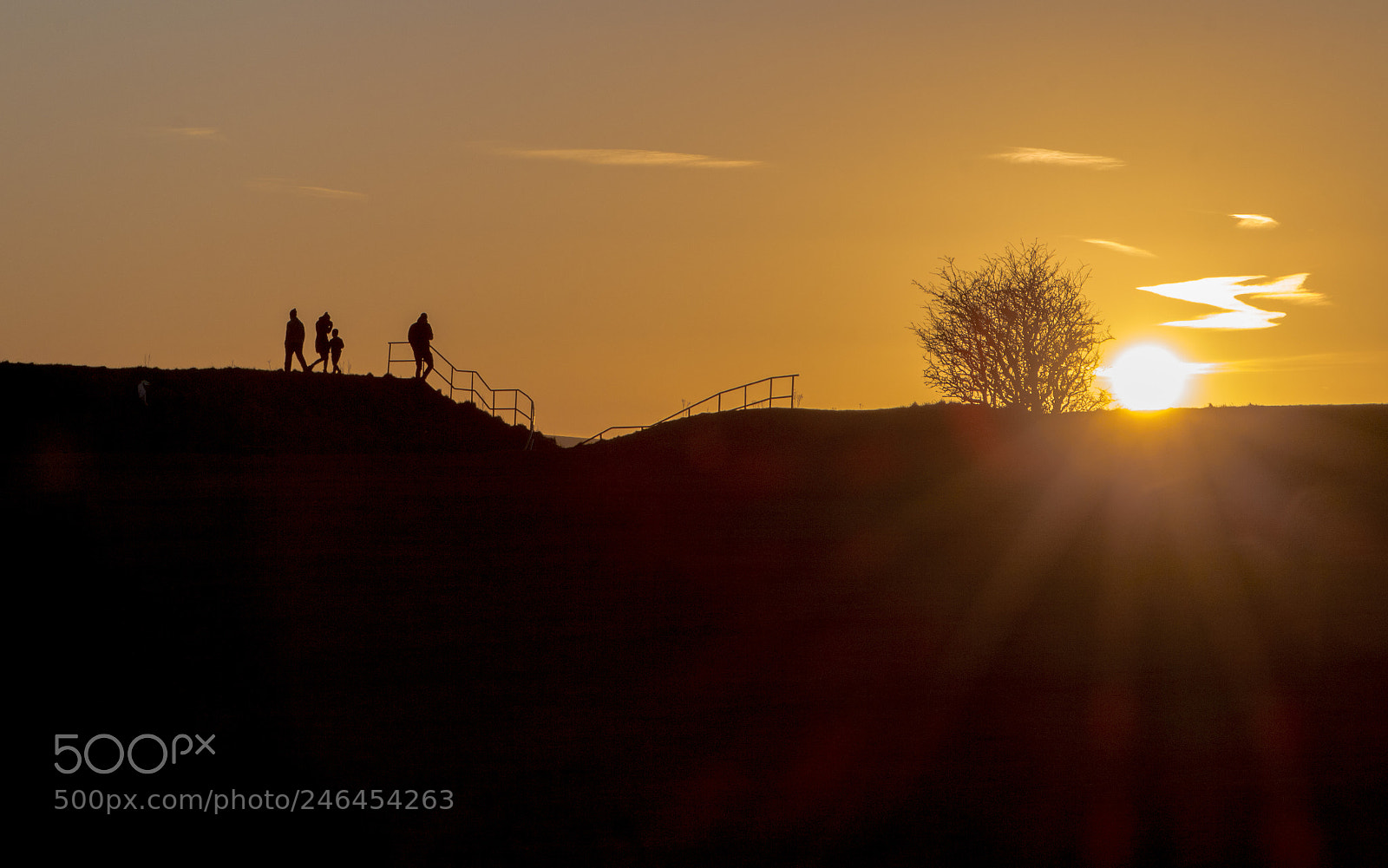Canon EOS 700D (EOS Rebel T5i / EOS Kiss X7i) sample photo. Sunset walk photography