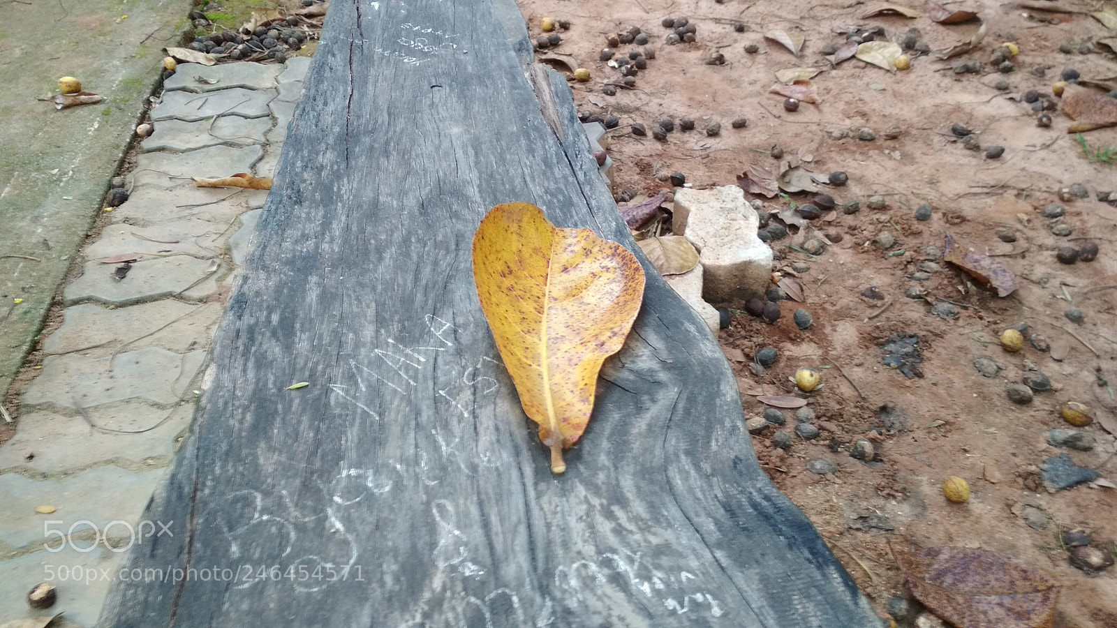 Xiaomi Redmi 4X sample photo. Natureza morta 2018-1 photography