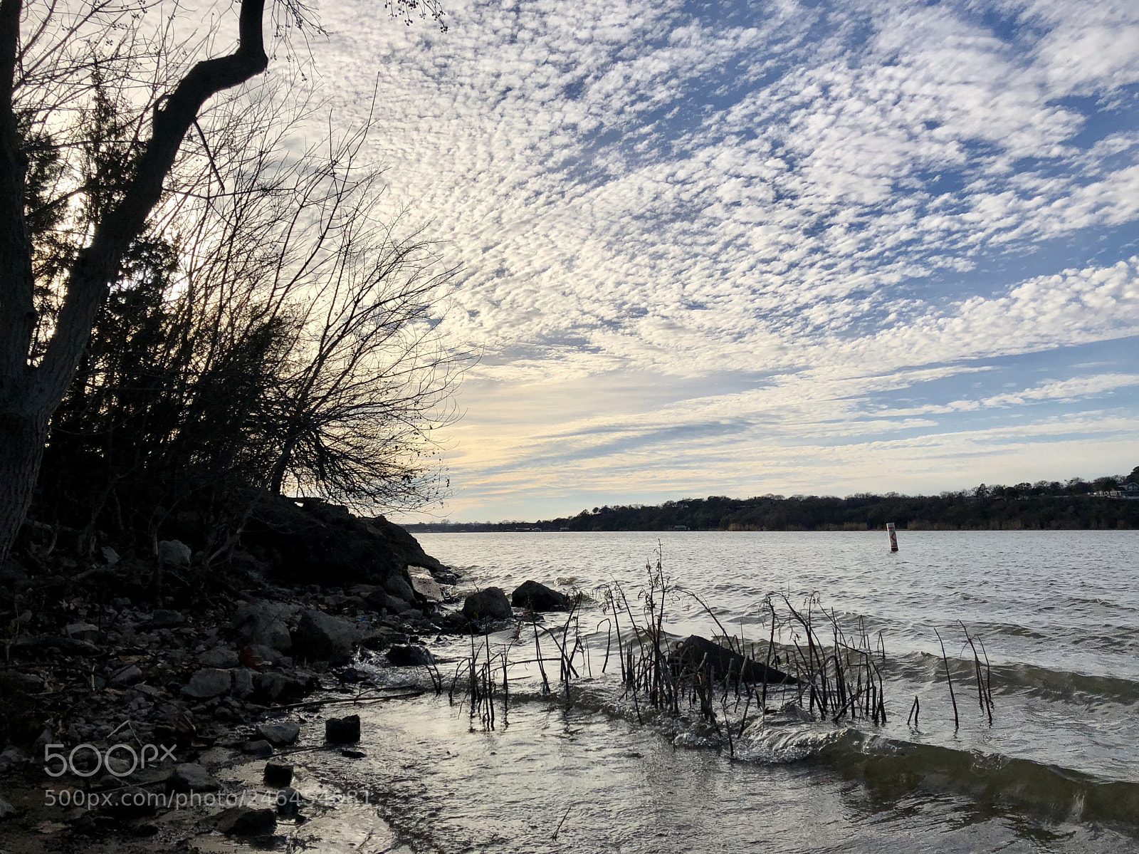 Apple iPhone X sample photo. Spread photography