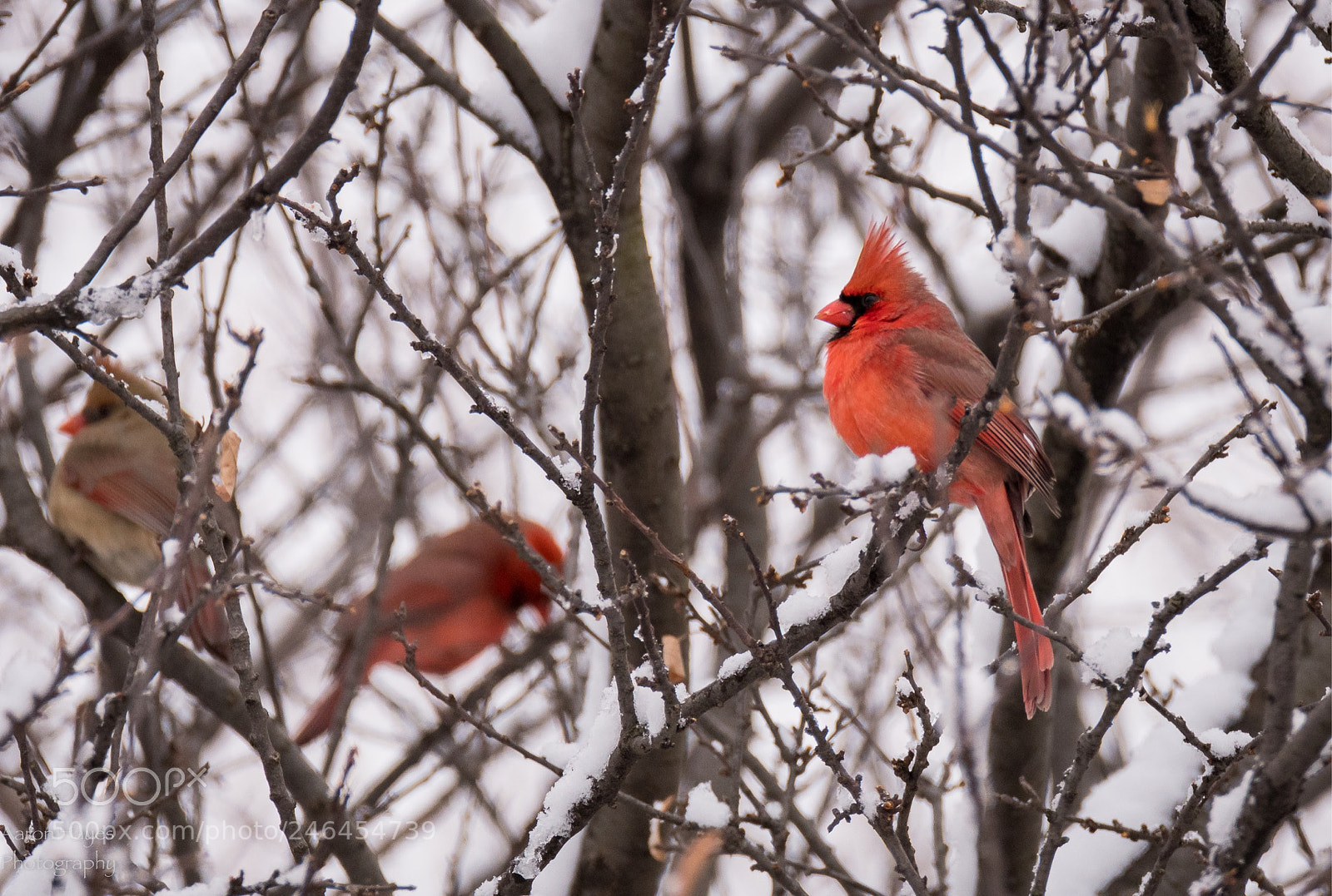 Nikon D500 sample photo. Riding the storm out photography