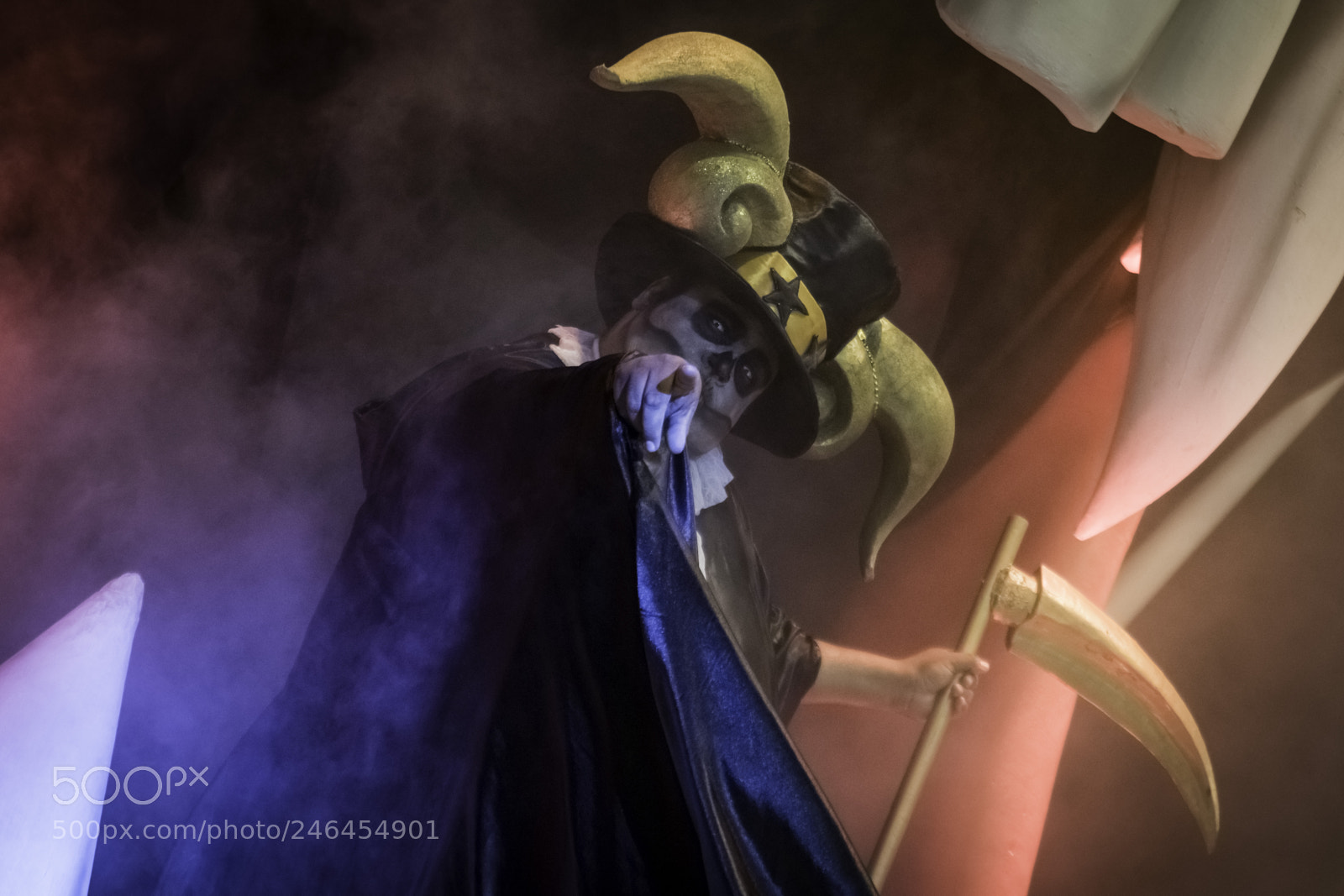 Nikon D810 sample photo. Carnival photography