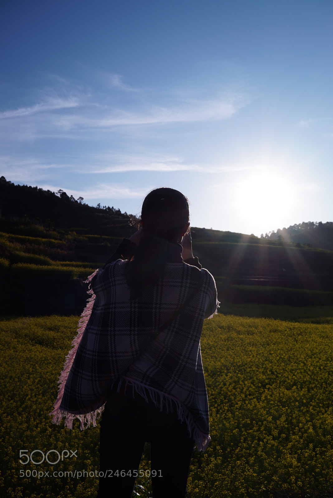 Sony a7S sample photo. 峨山花田日落 photography