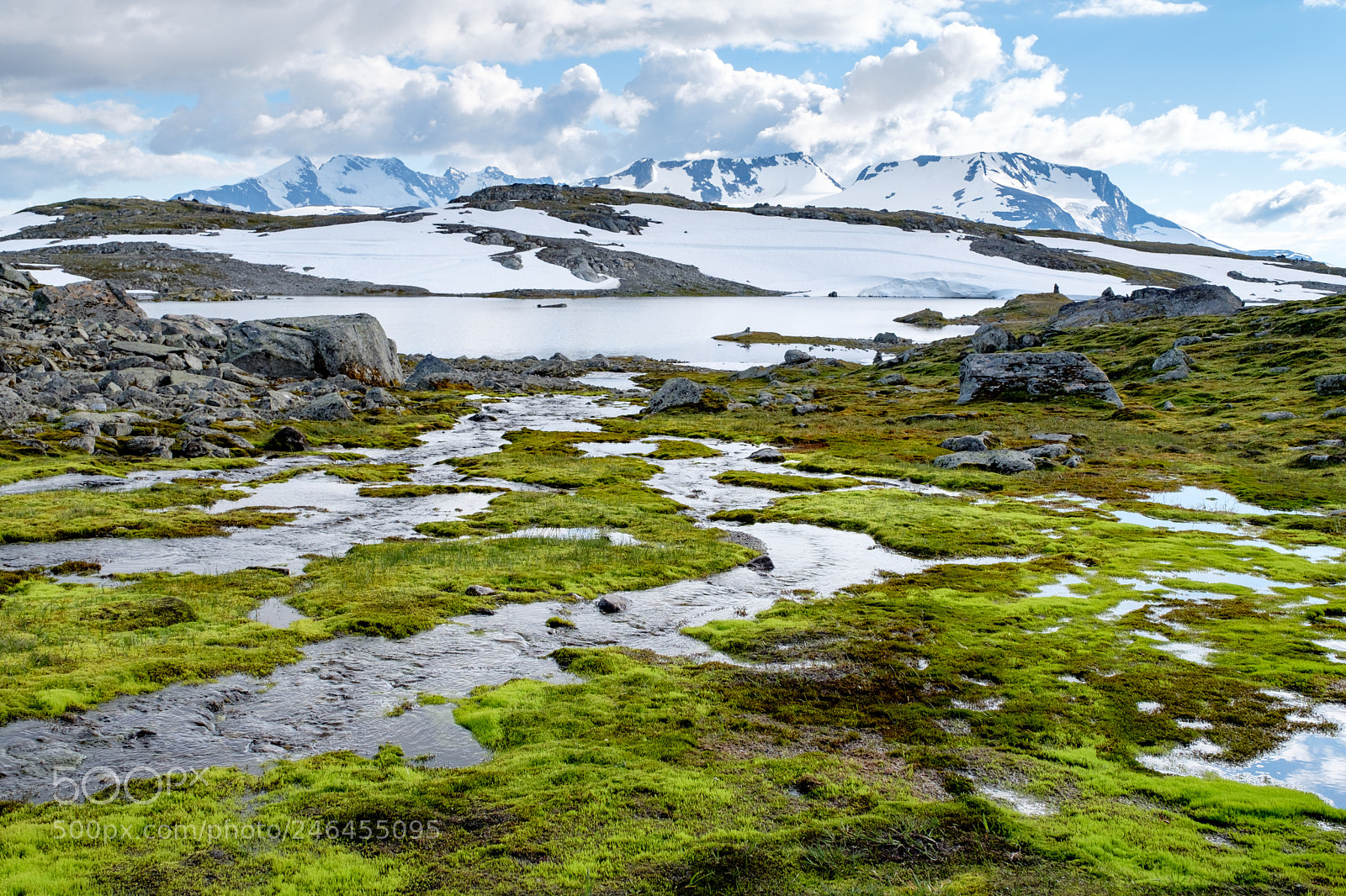 Fujifilm X-T20 sample photo. Norwegian county road 55 photography