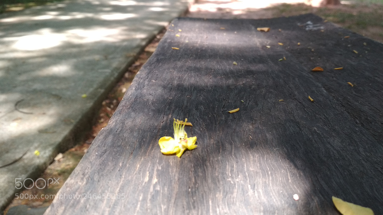 Xiaomi Redmi 4X sample photo. Natureza morta 2018-4 photography