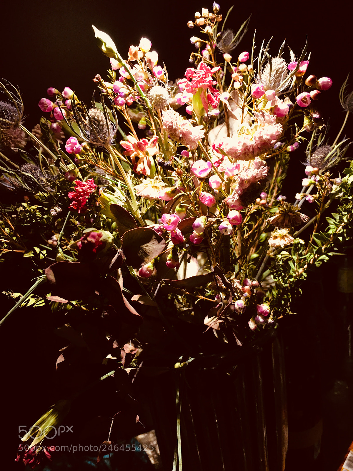 Apple iPhone SE sample photo. Untitled photography