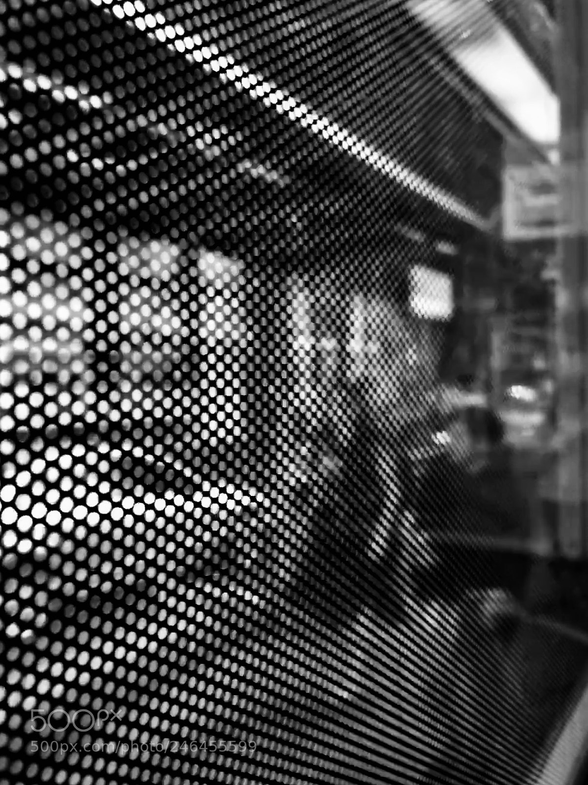 Apple iPhone 6s Plus sample photo. Untitled photography