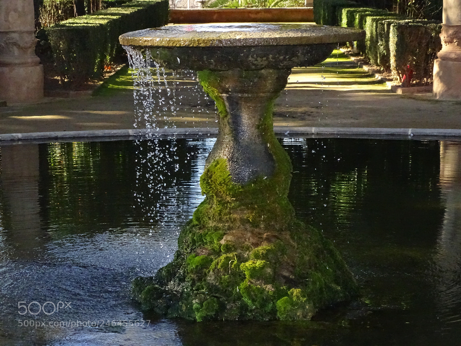 Sony Cyber-shot DSC-HX350 sample photo. Carmen de los m photography