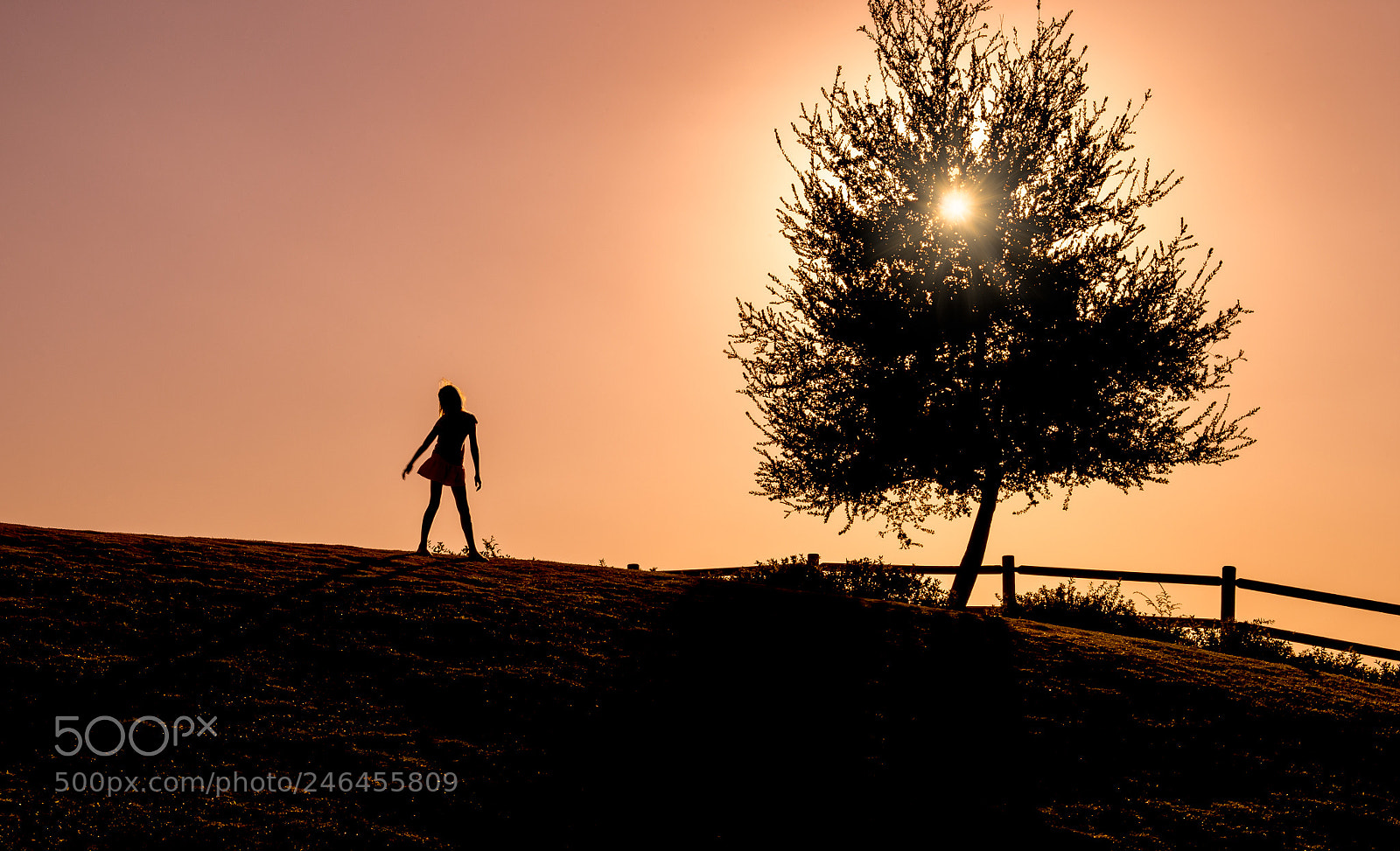 Nikon D4 sample photo. Sienna silhouette photography