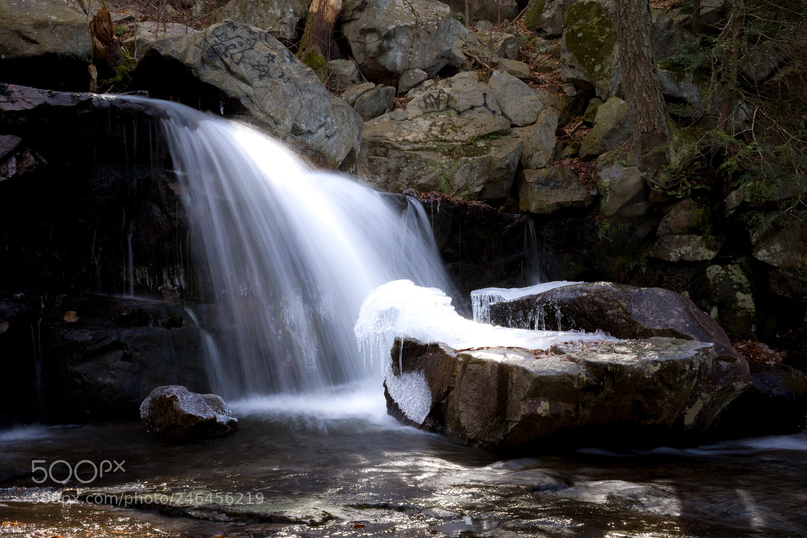 Nikon D7200 sample photo. Spotlight on winter photography
