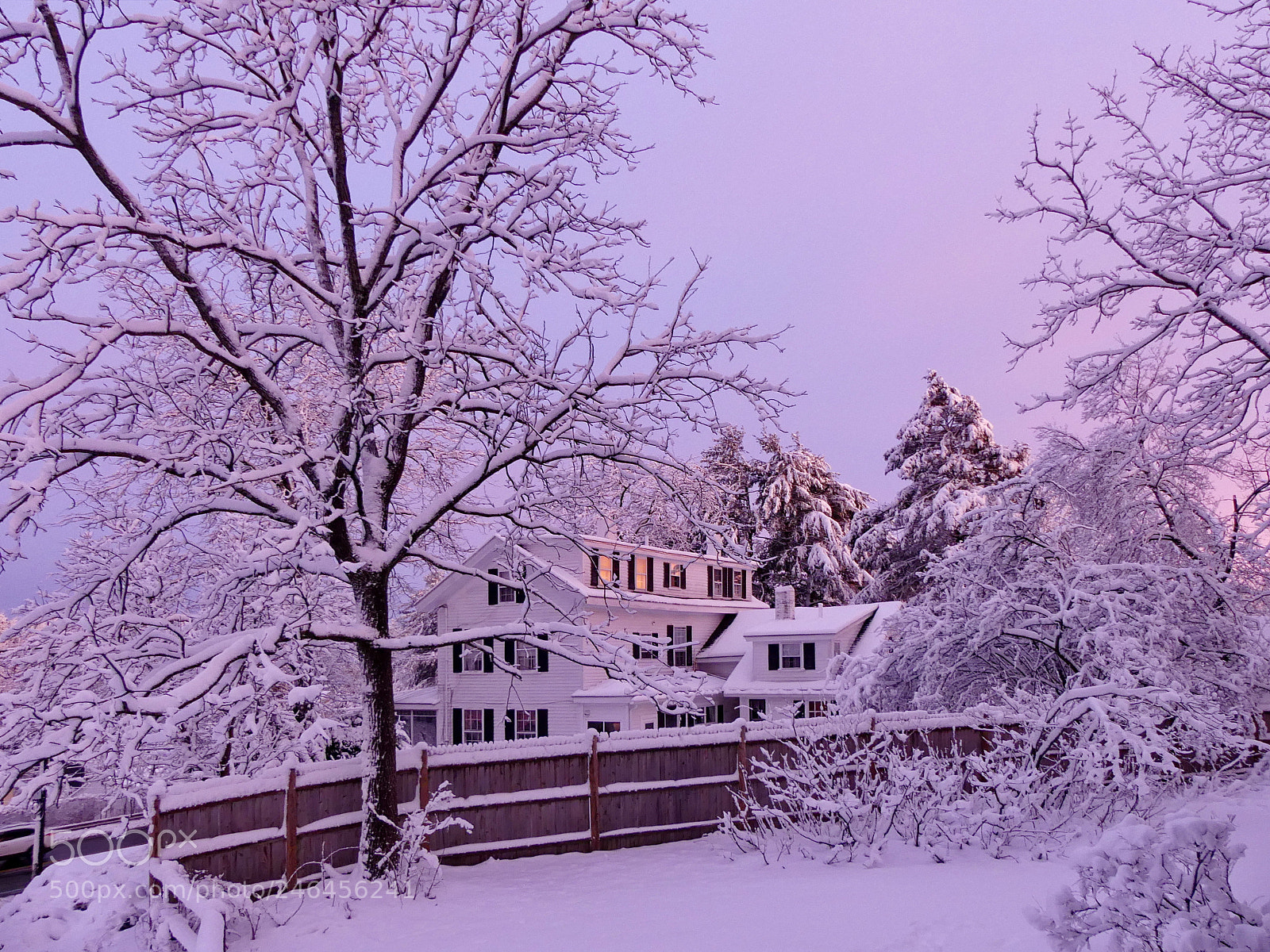 Panasonic Lumix DMC-FZ300 sample photo. Such a fabulous winter photography