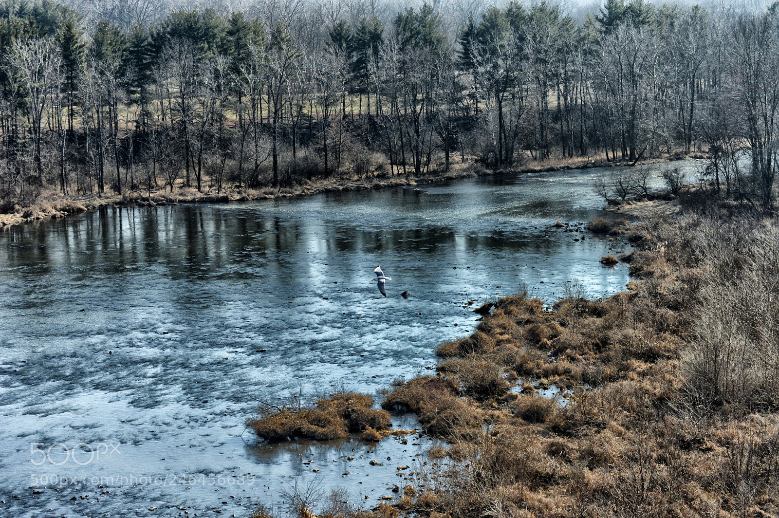 Nikon D3200 sample photo. Big walnut hoover photography