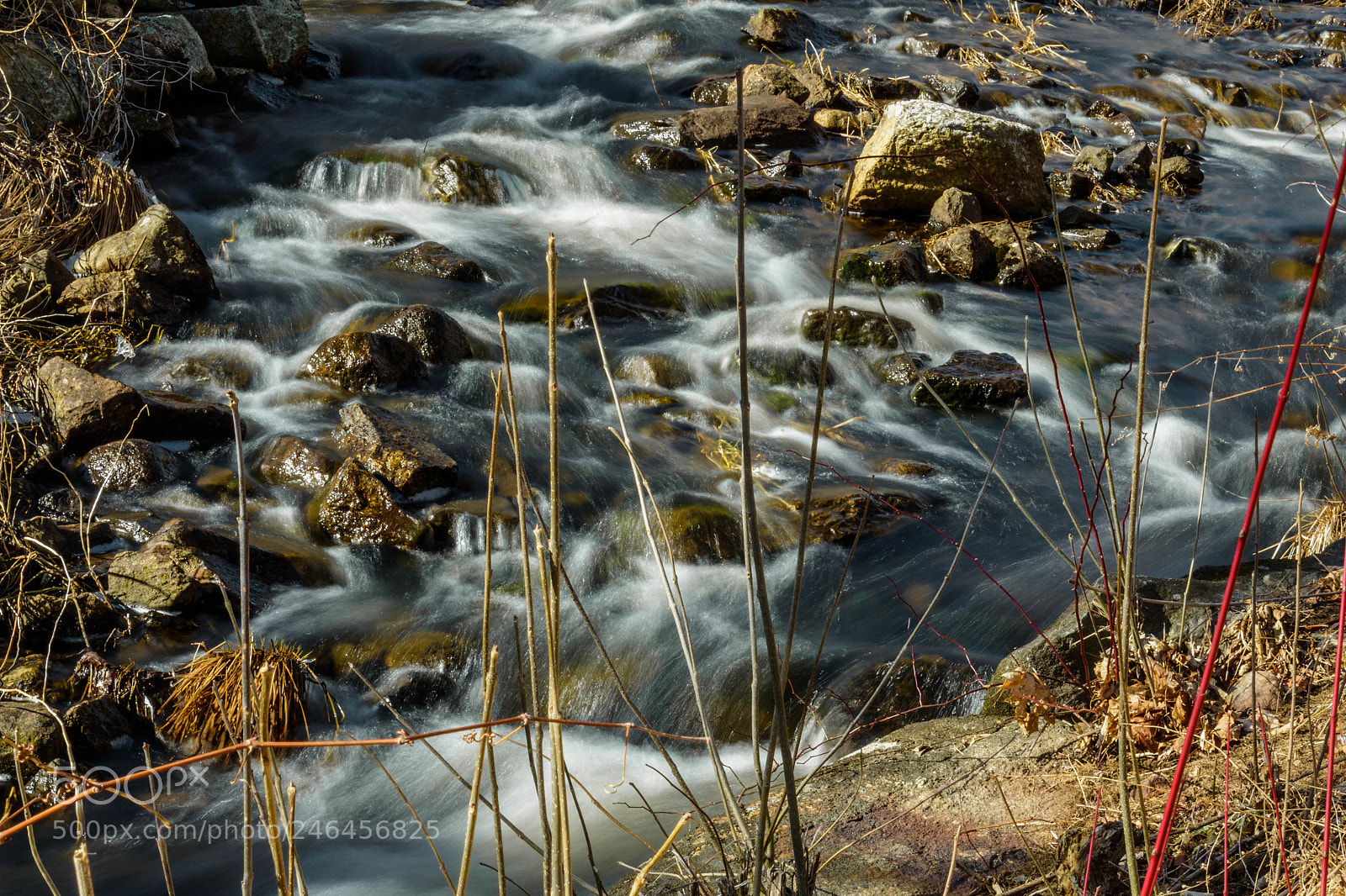 Canon EOS 1300D (EOS Rebel T6 / EOS Kiss X80) sample photo. Peaceful stream photography