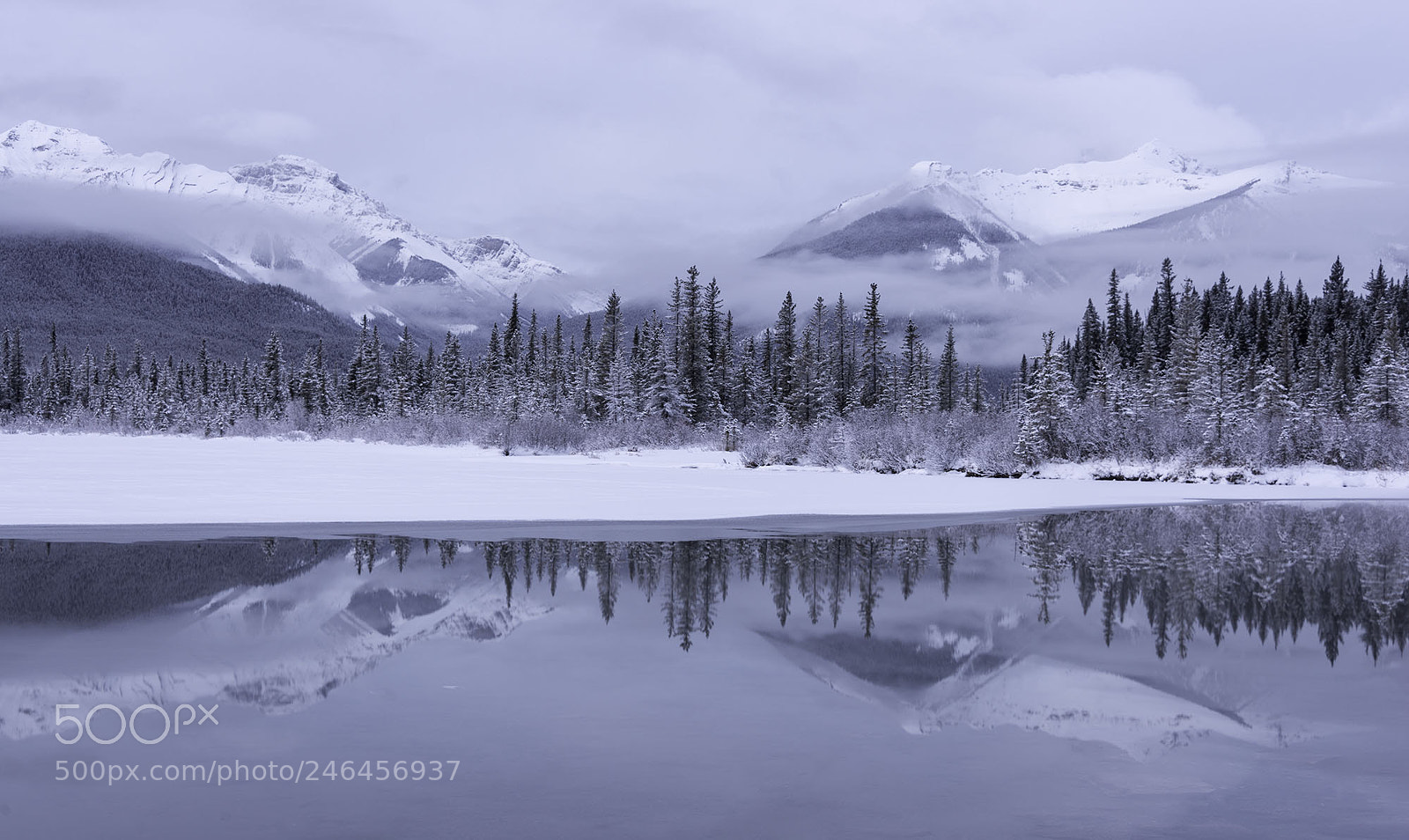 Nikon D800 sample photo. The magic of winter photography