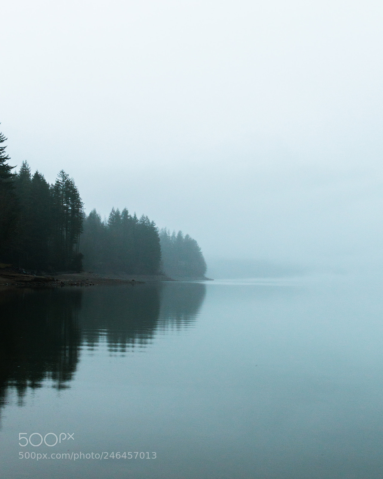 Nikon D3200 sample photo. Reflections at yale lake photography
