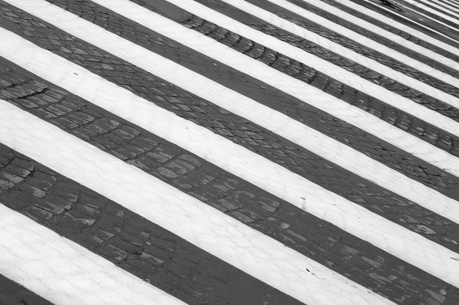 Nikon D90 sample photo. Z photography