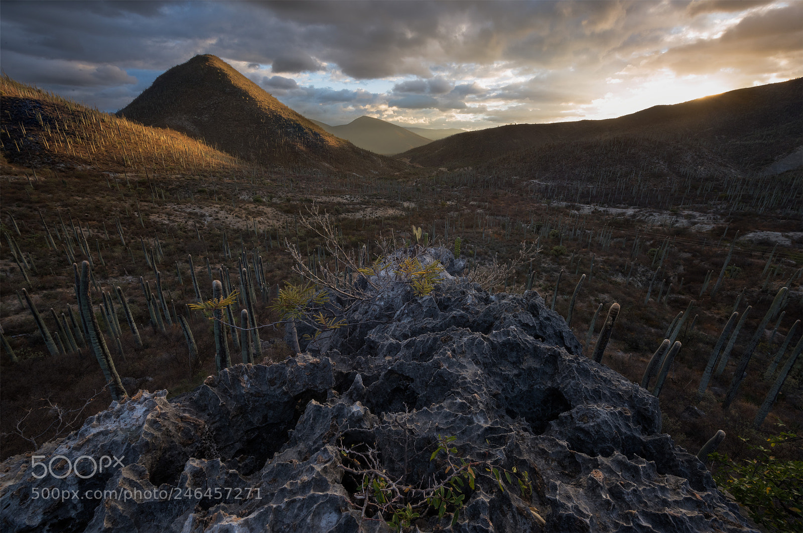 Nikon D810 sample photo. Cutah hill sunset, zapotitlan photography