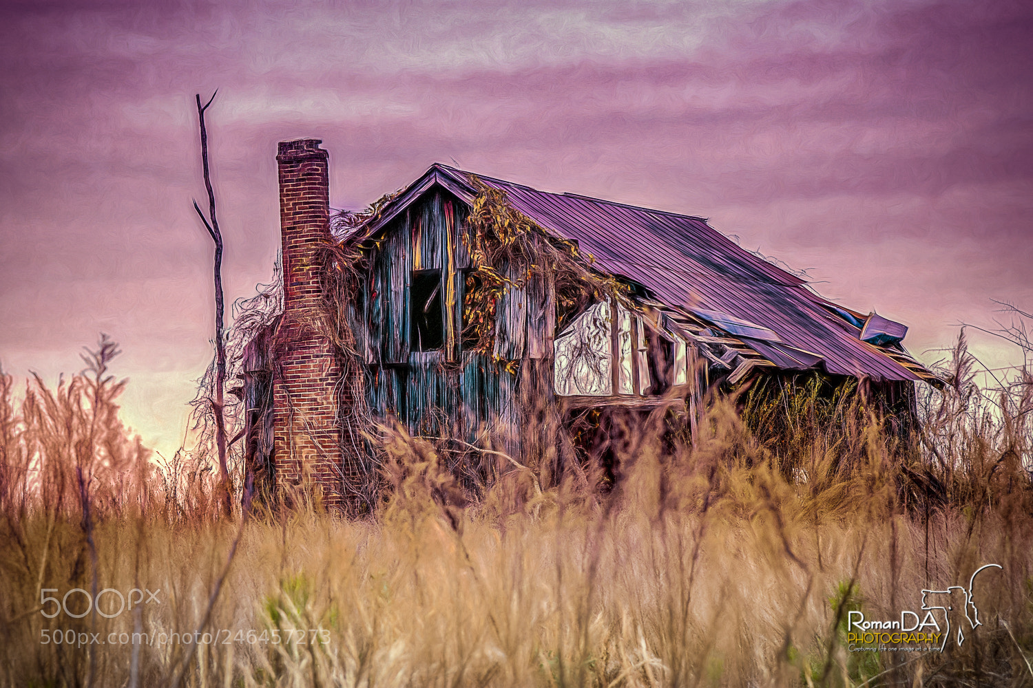 Nikon D7200 sample photo. Home sweet home sunrise photography