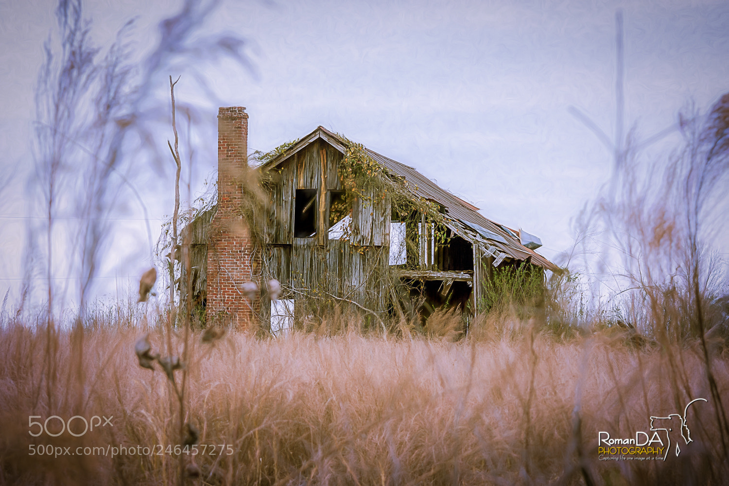 Nikon D7200 sample photo. Home sweet home photography