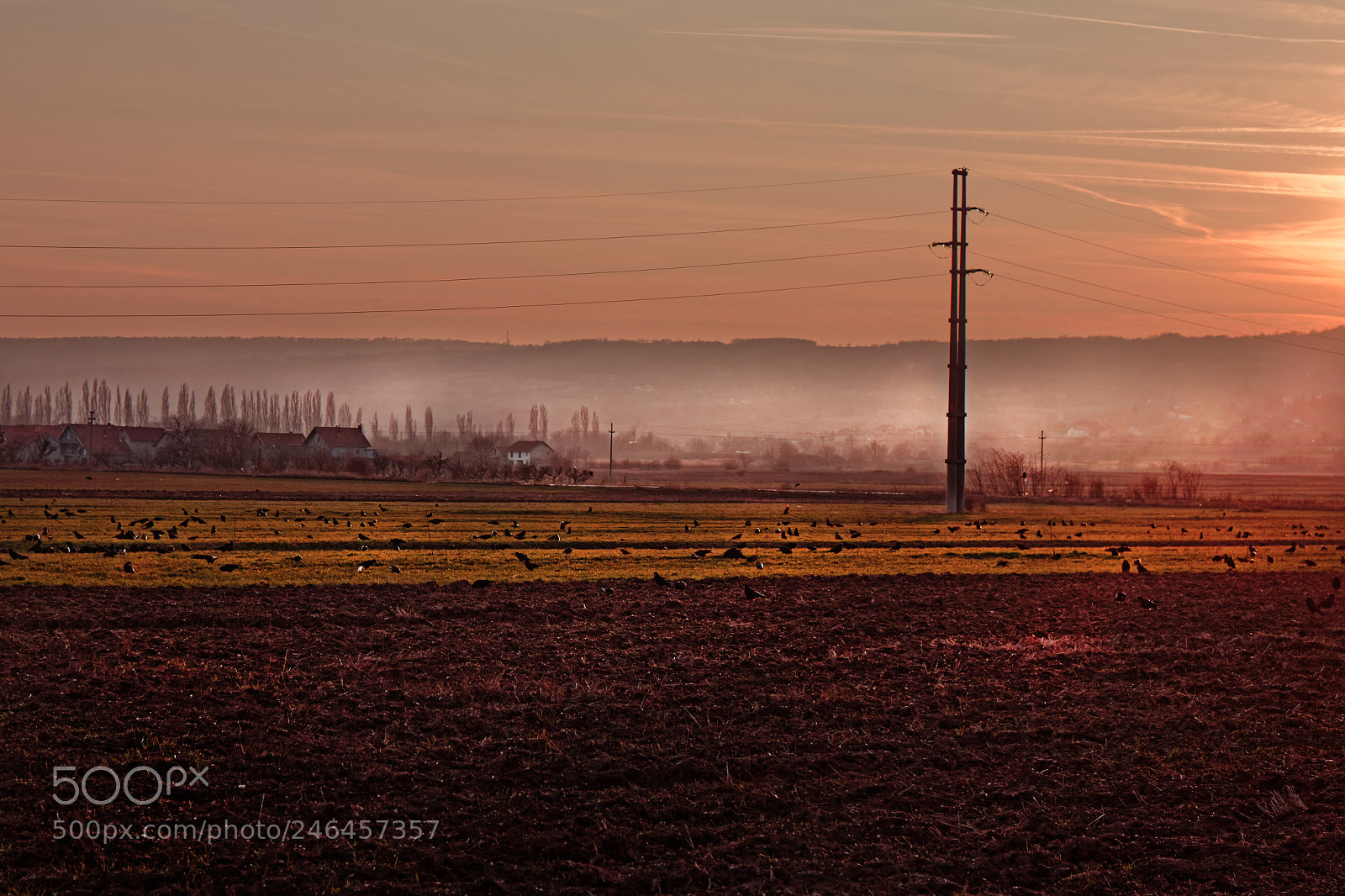 Canon EOS M sample photo. Red sunset fields photography