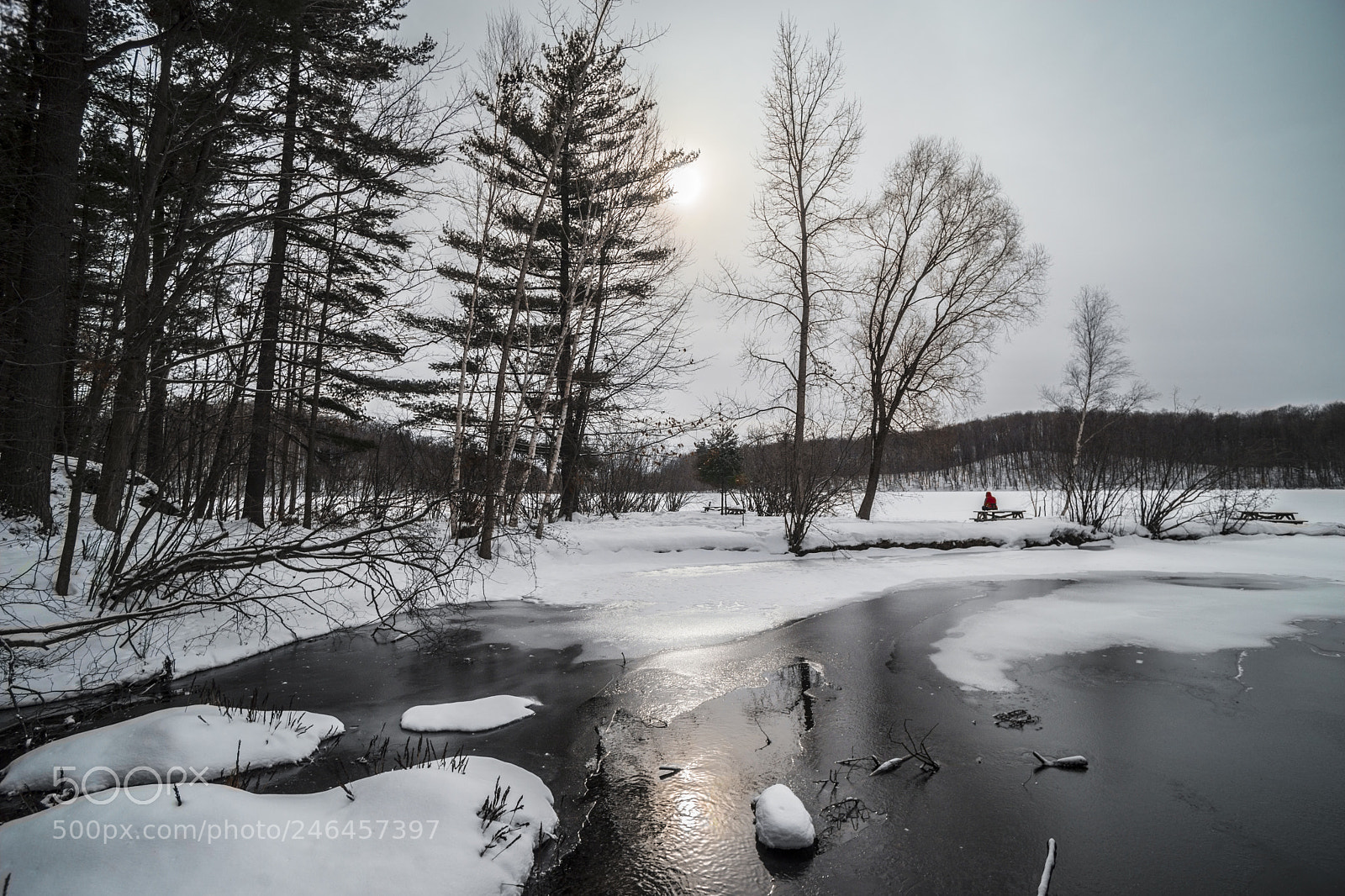 Sony SLT-A99V sample photo. Winter photography