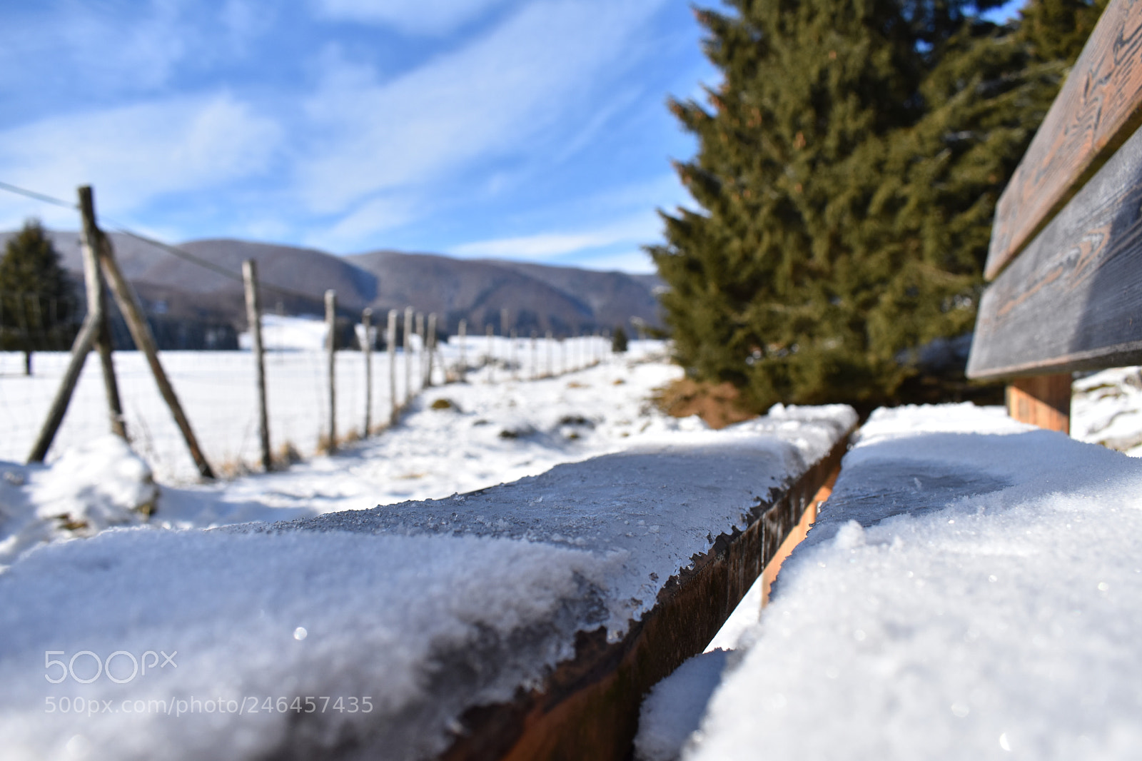 Nikon D3400 sample photo. Untitled photography