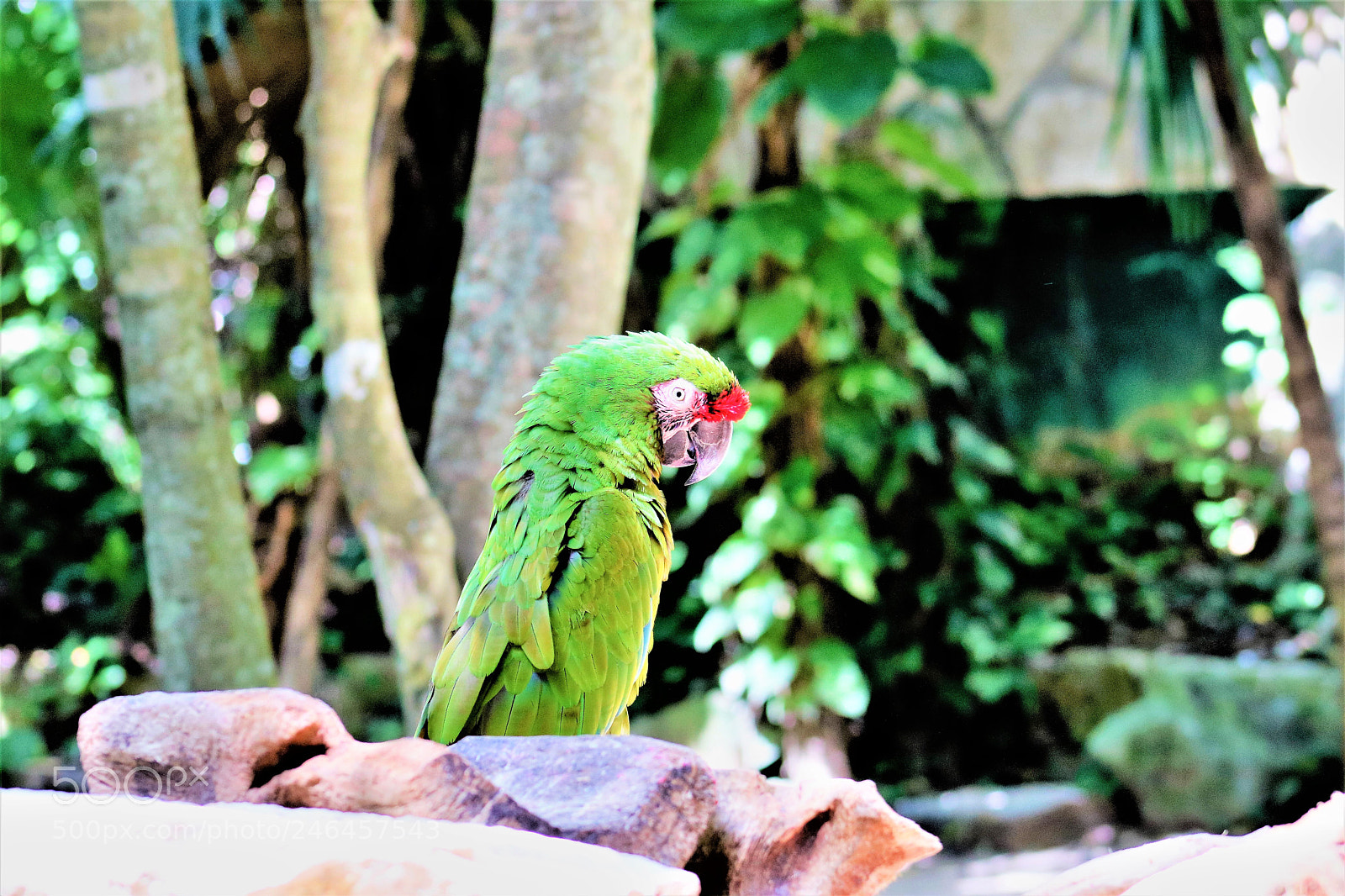 Canon EOS 750D (EOS Rebel T6i / EOS Kiss X8i) sample photo. Untitled photography