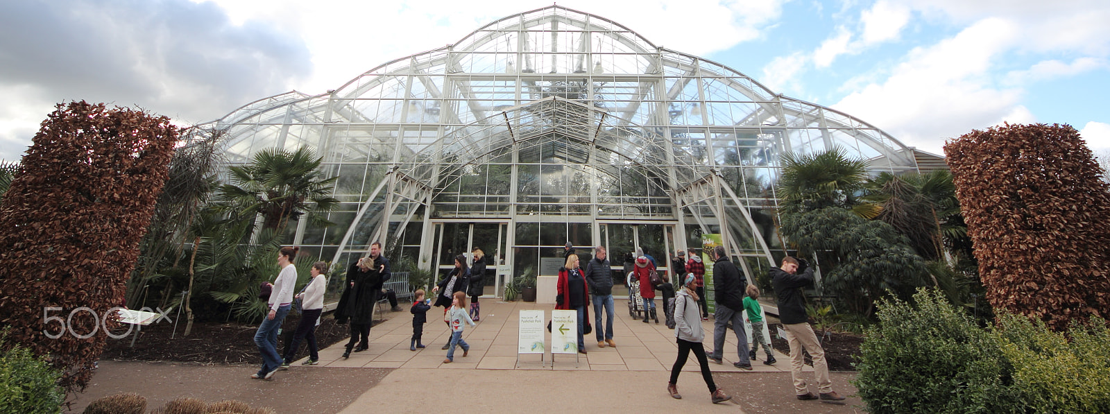 Sigma 8-16mm F4.5-5.6 DC HSM sample photo. Glasshouse photography