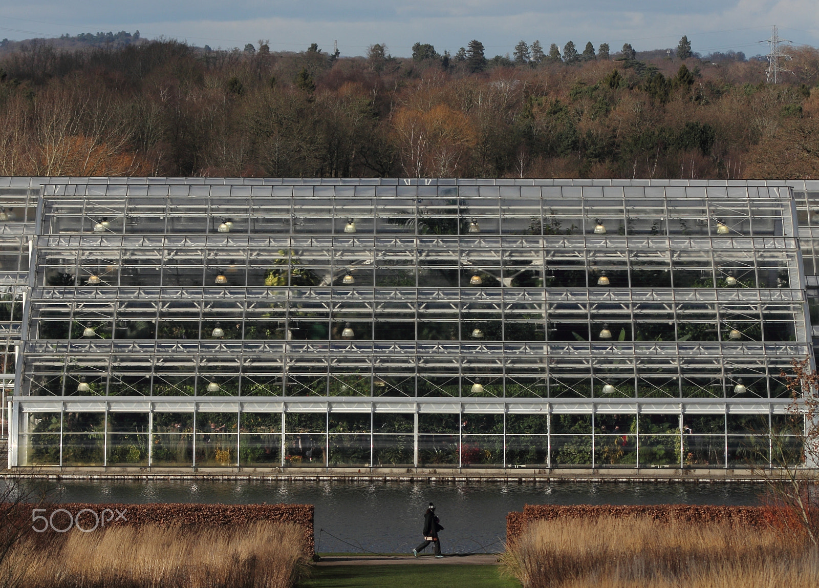 Sigma 105mm F2.8 EX DG OS HSM sample photo. Glasshouse at range photography