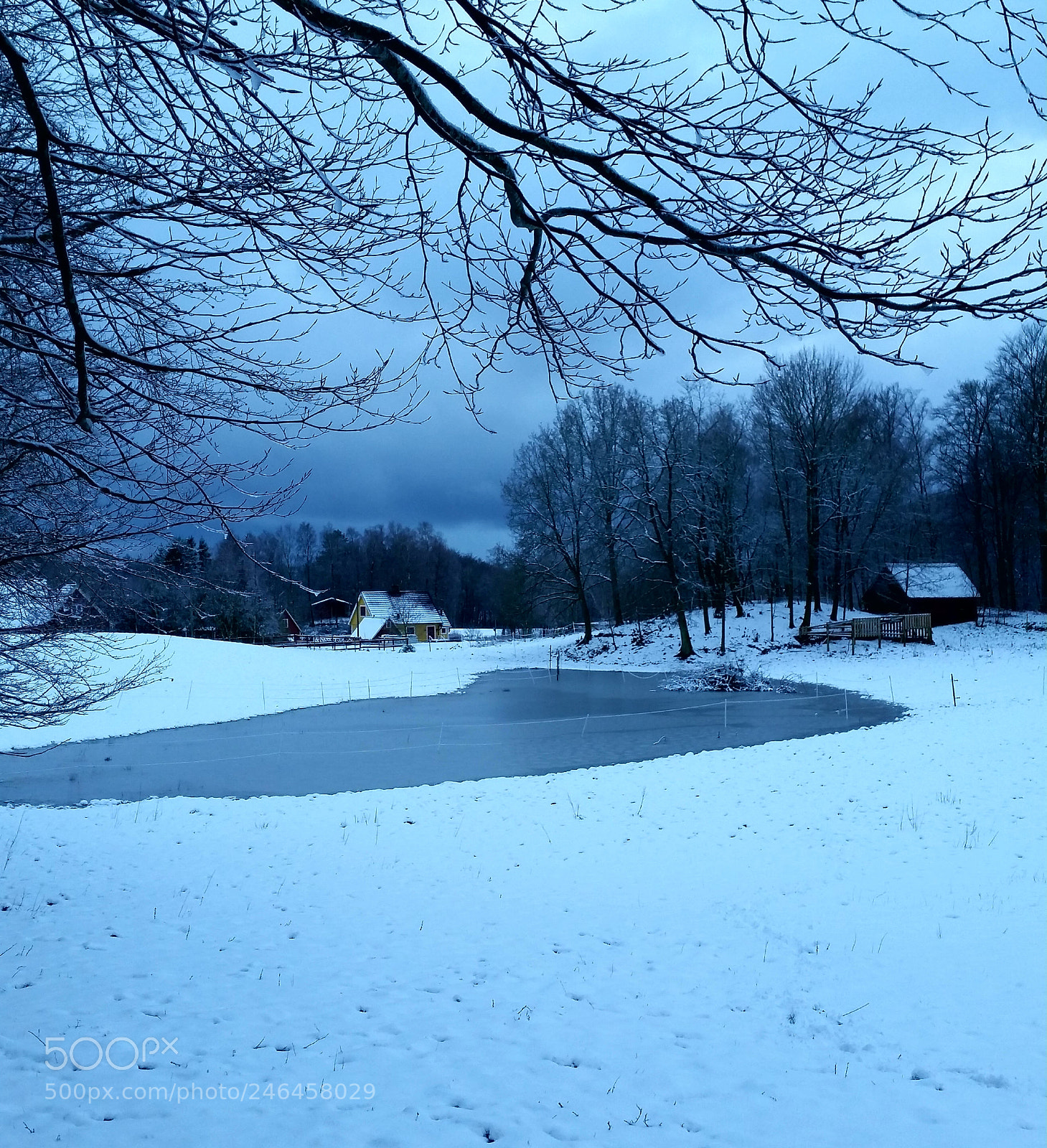 Samsung Galaxy S5 sample photo. Snow photography
