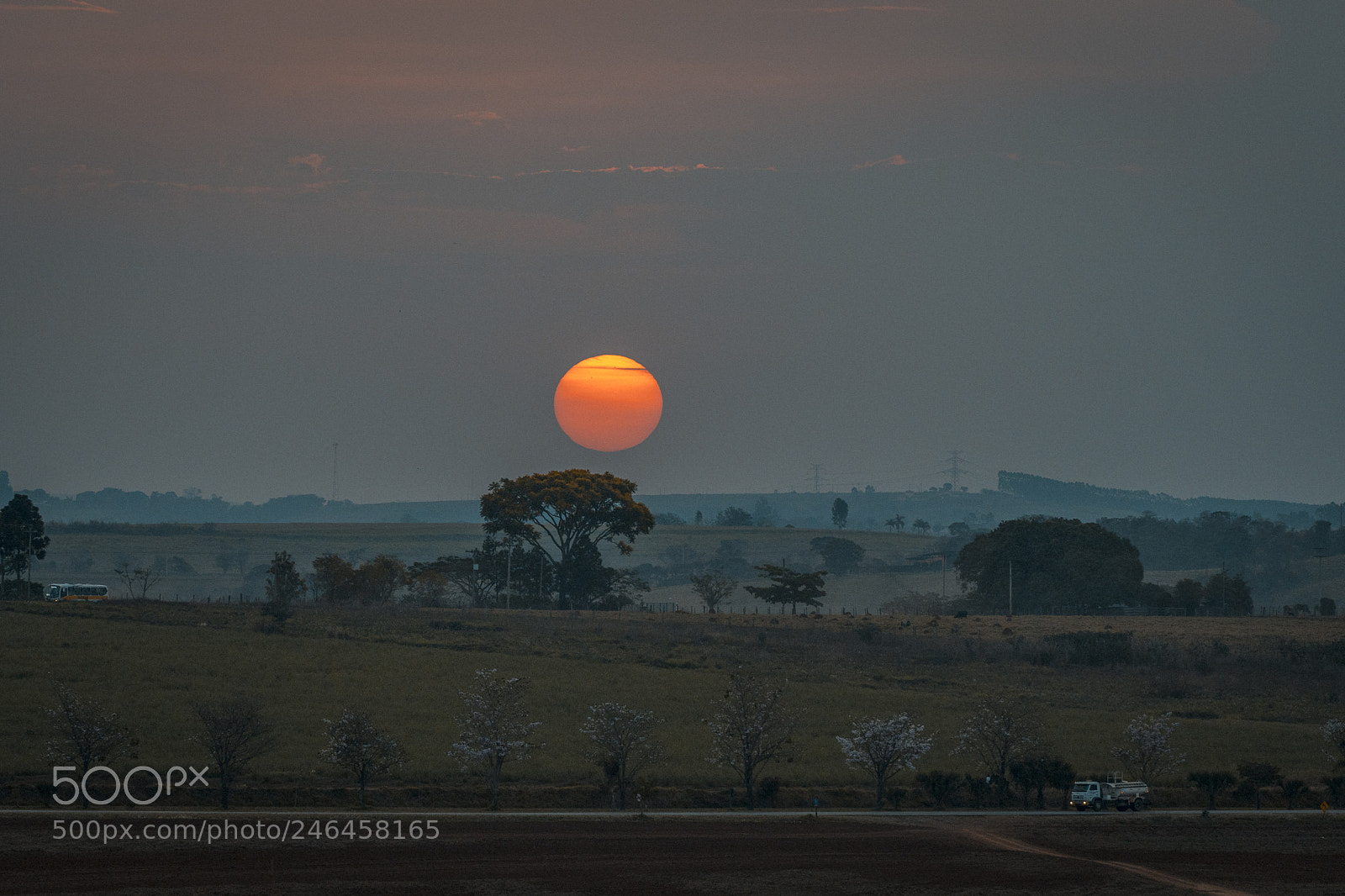 Nikon D500 sample photo. The sun and the photography