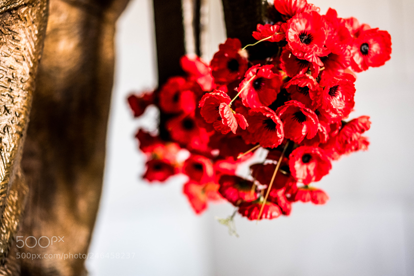Fujifilm X-T2 sample photo. Dscf photography