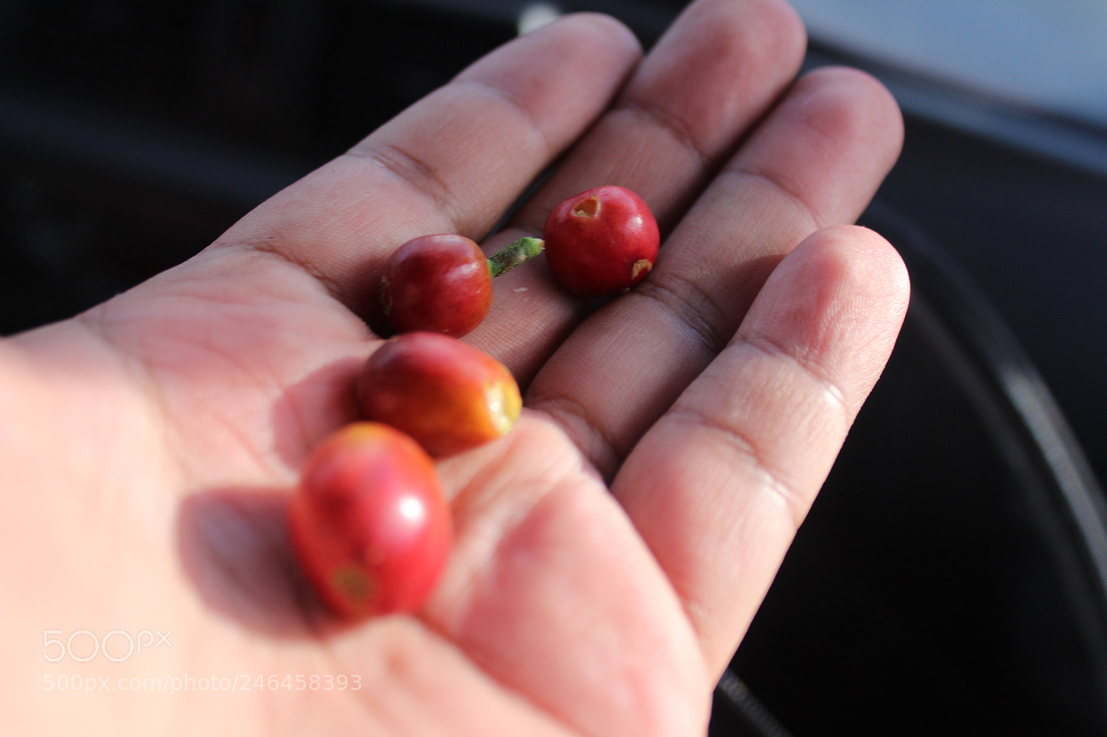 Canon EOS 1300D (EOS Rebel T6 / EOS Kiss X80) sample photo. Coffee photography