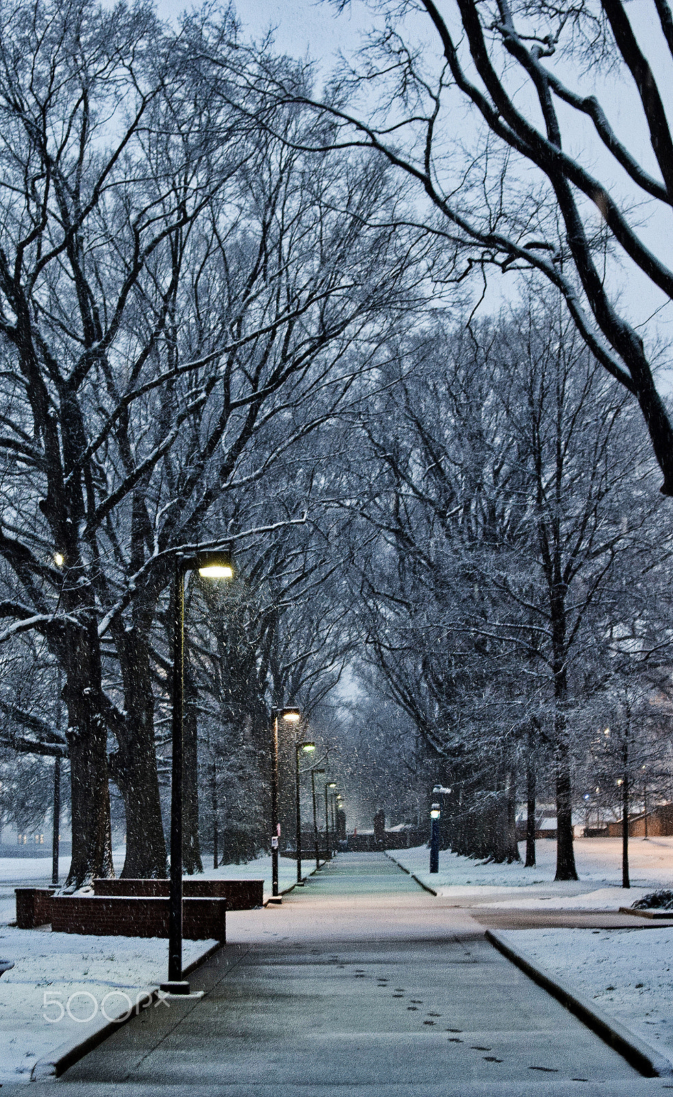 Nikon AF-S DX Nikkor 35mm F1.8G sample photo. Snowy day - mckeldin mall - university of maryland photography