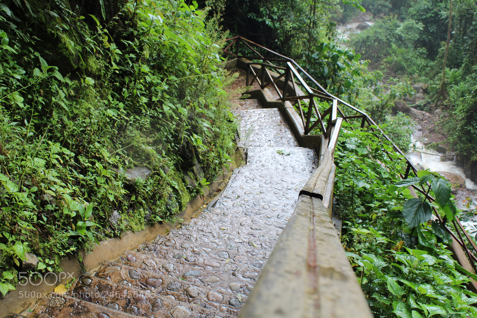 Canon EOS 1300D (EOS Rebel T6 / EOS Kiss X80) sample photo. Stairs photography