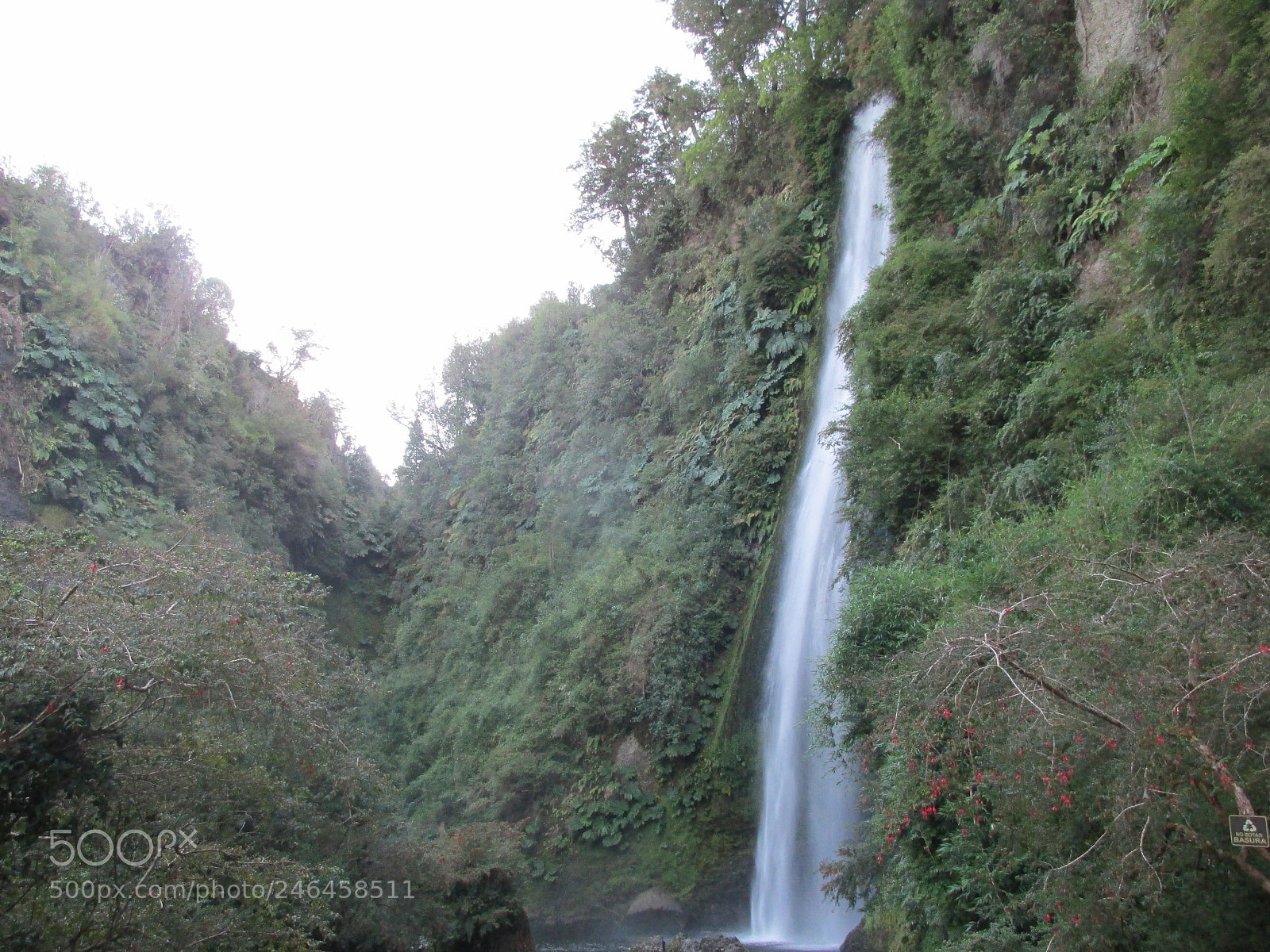 Canon PowerShot SX170 IS sample photo. Tocoihue photography