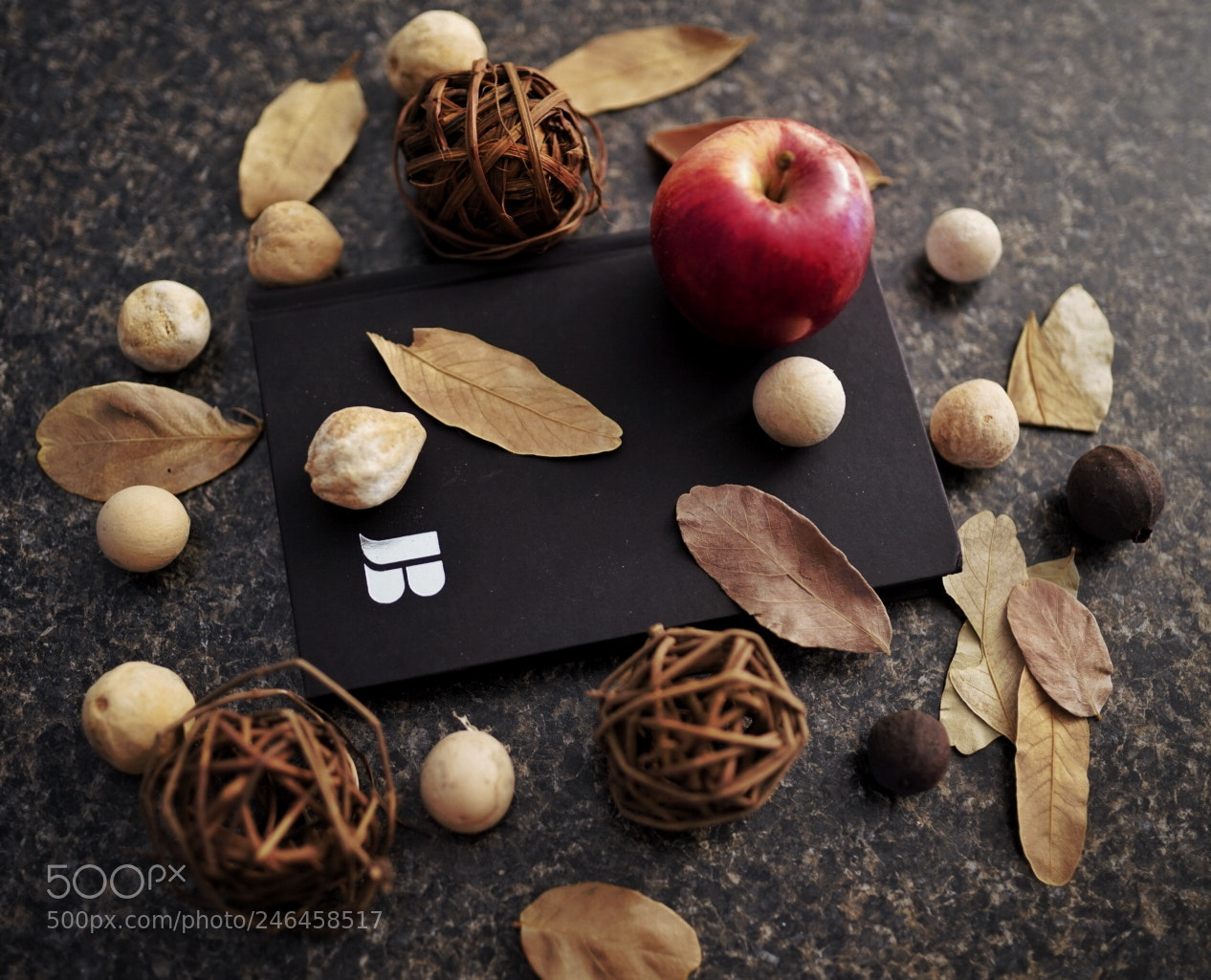 Sony a7R III sample photo. Autumn photography