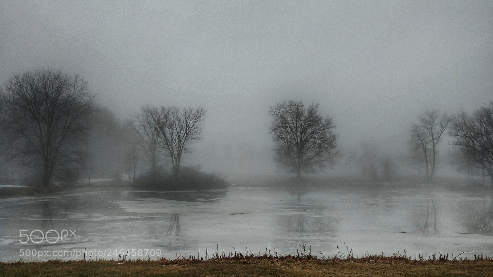 LG G6 sample photo. Winter fog photography