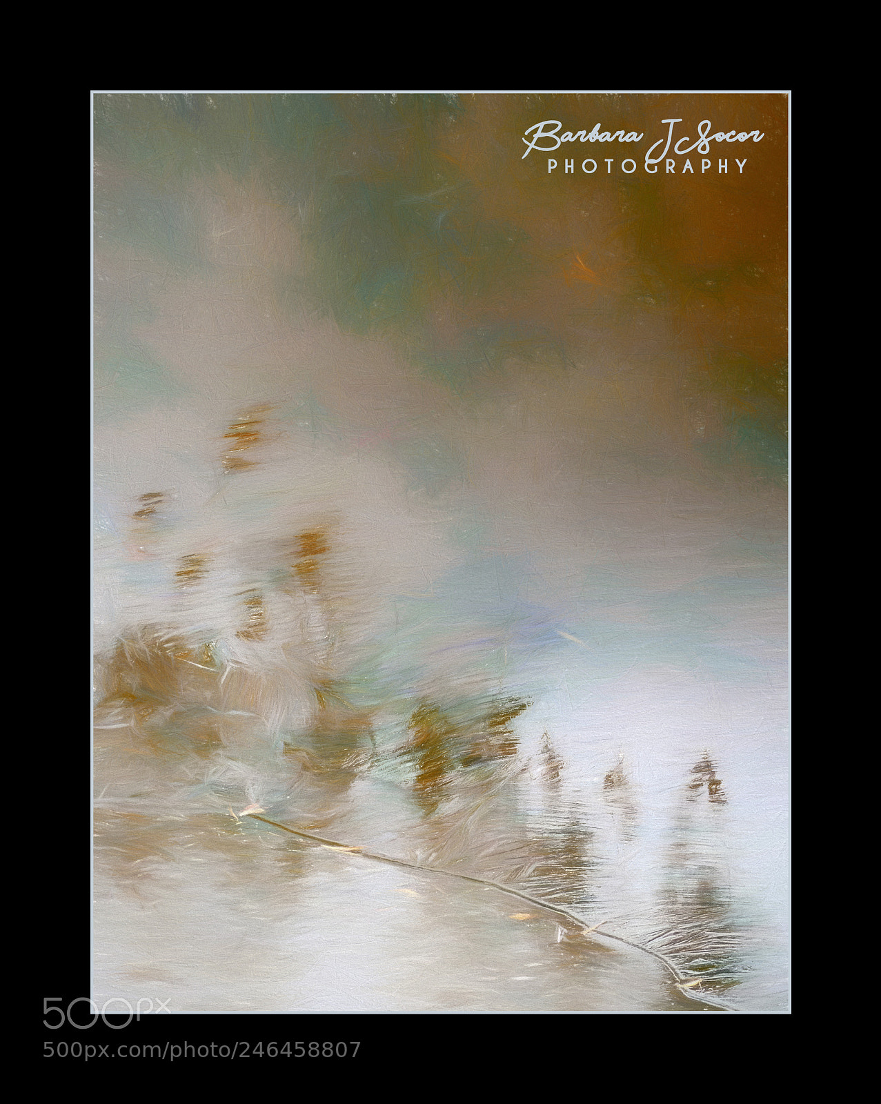 Panasonic Lumix DMC-FZ300 sample photo. Winter dream photography