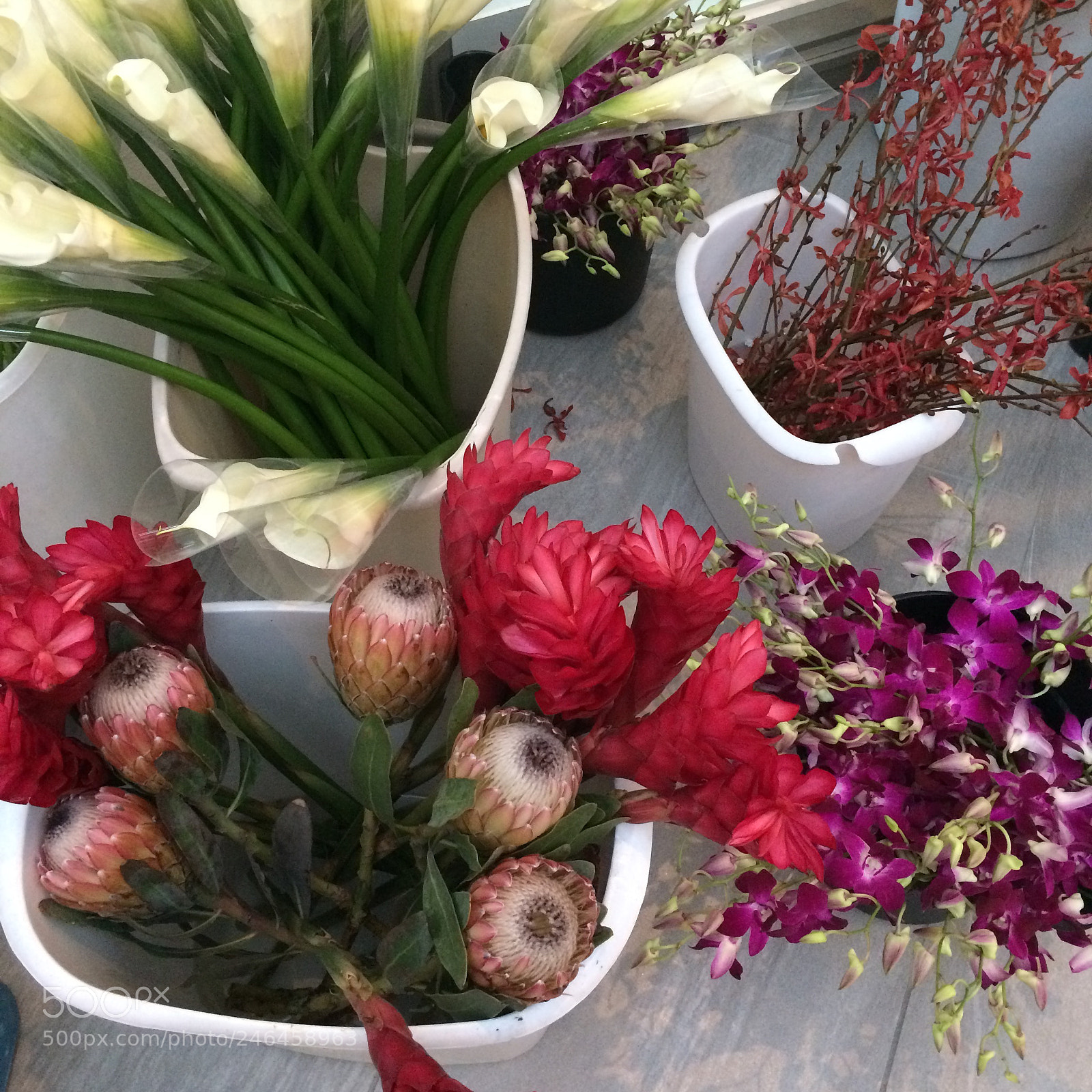 Apple iPhone 5s sample photo. Flowers before arrangement photography