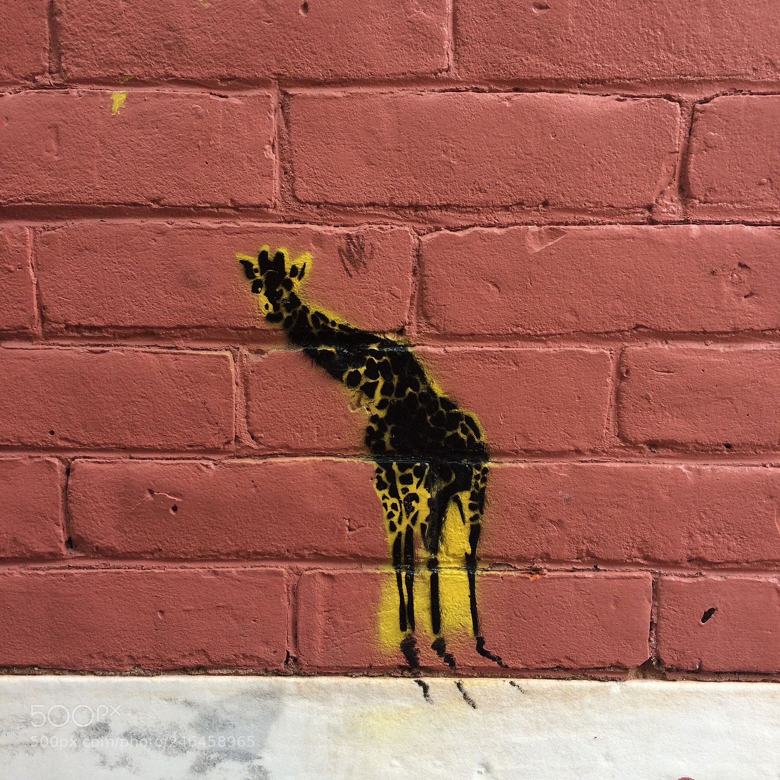 Apple iPhone 5s sample photo. Giraffe stencil street art photography
