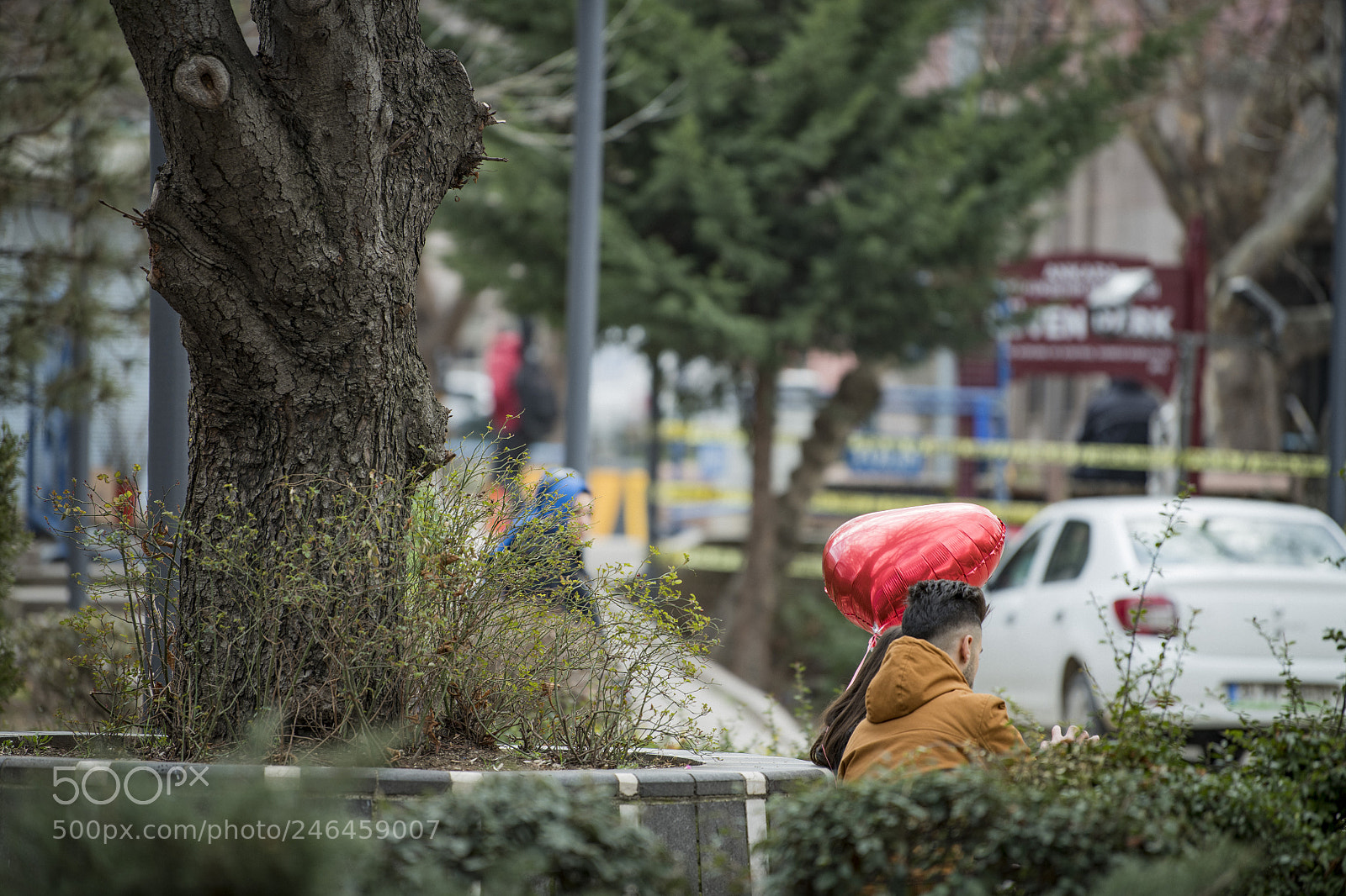 Nikon D850 sample photo. Heart love park photography