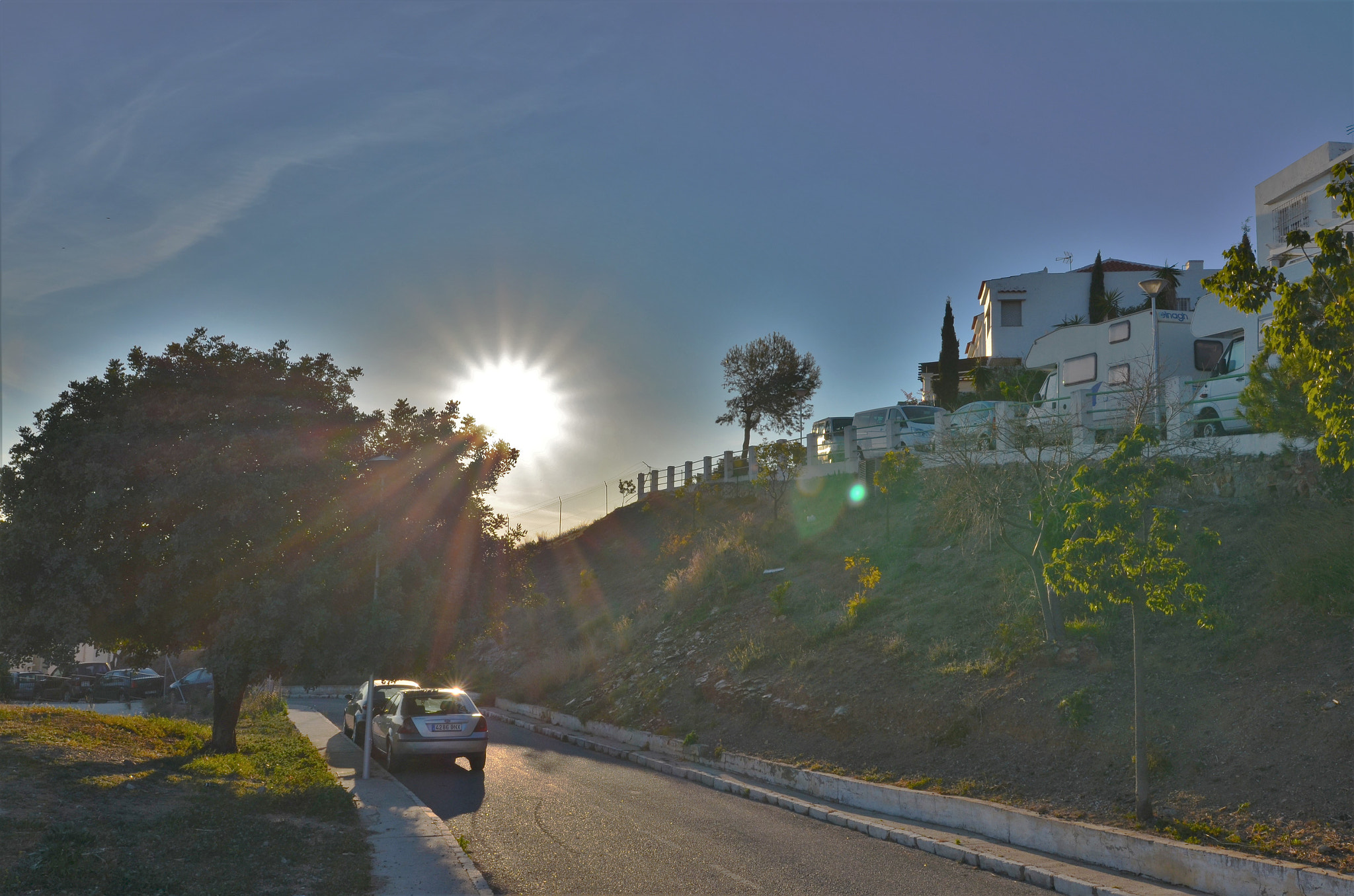 Nikon D5100 sample photo