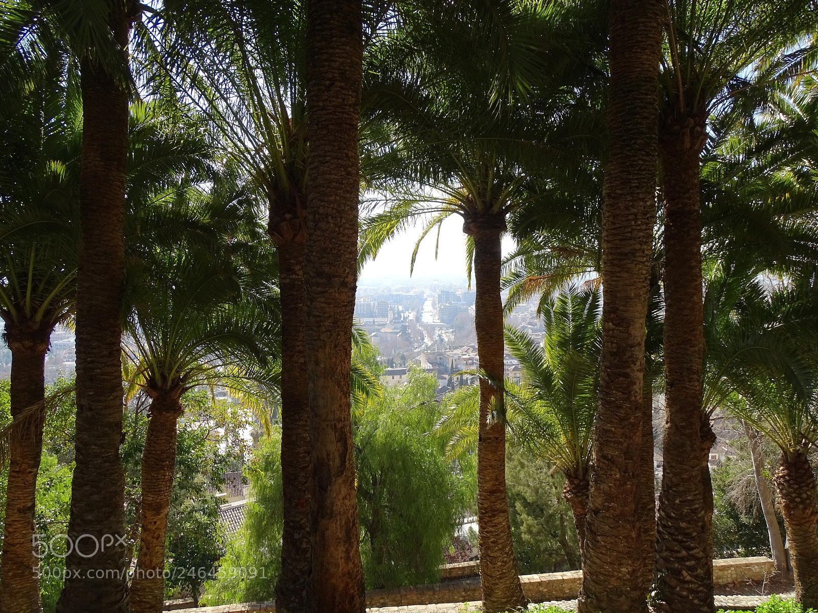 Sony Cyber-shot DSC-HX350 sample photo. Carmen de los m photography